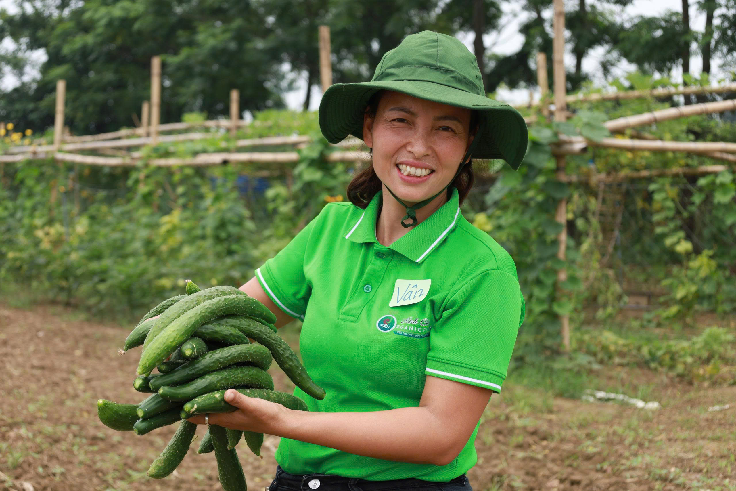 Người phụ nữ 'xanh' ở xã đảo Minh Châu - Ảnh 2.