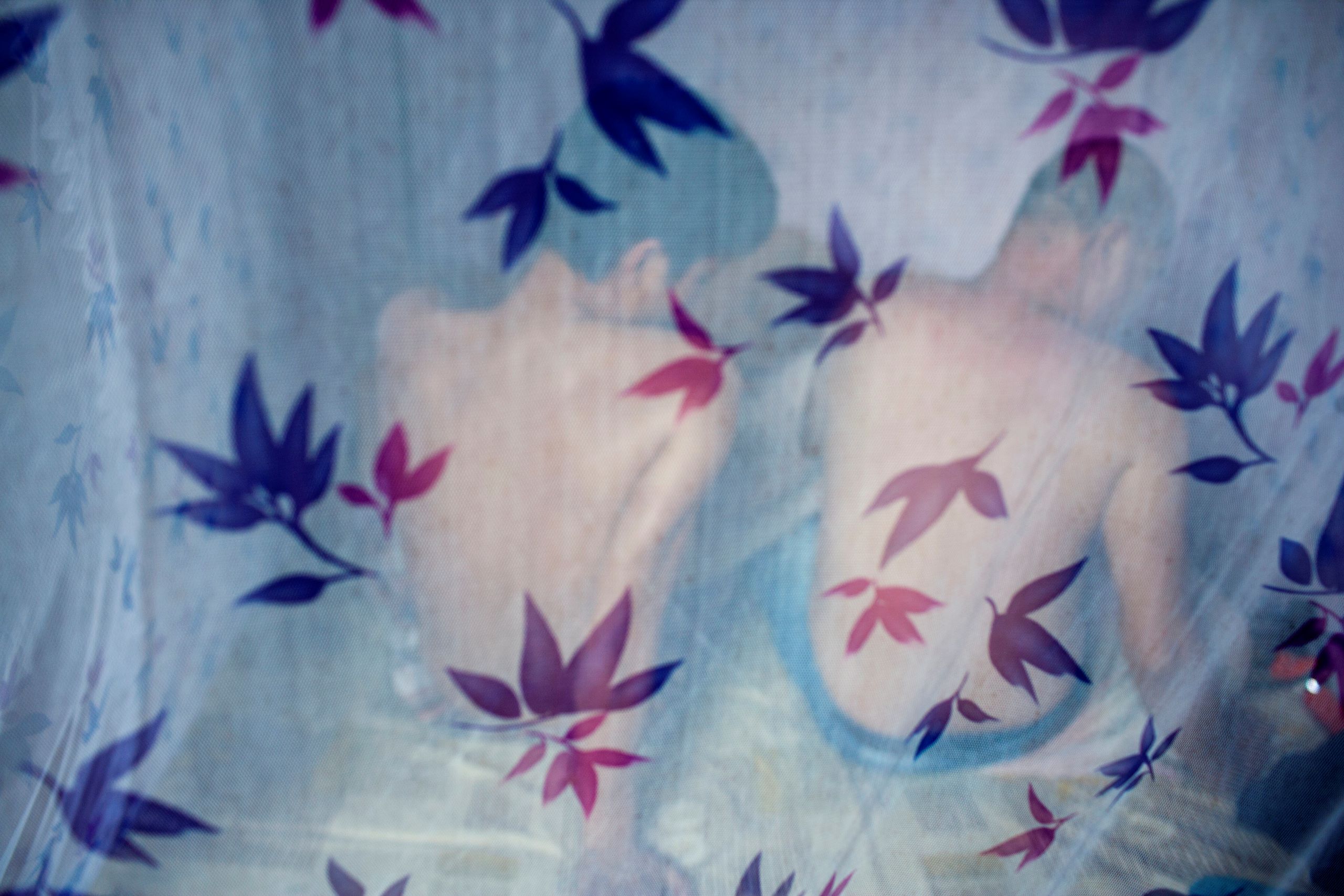 - תמונה 7. - Ảnh 7.