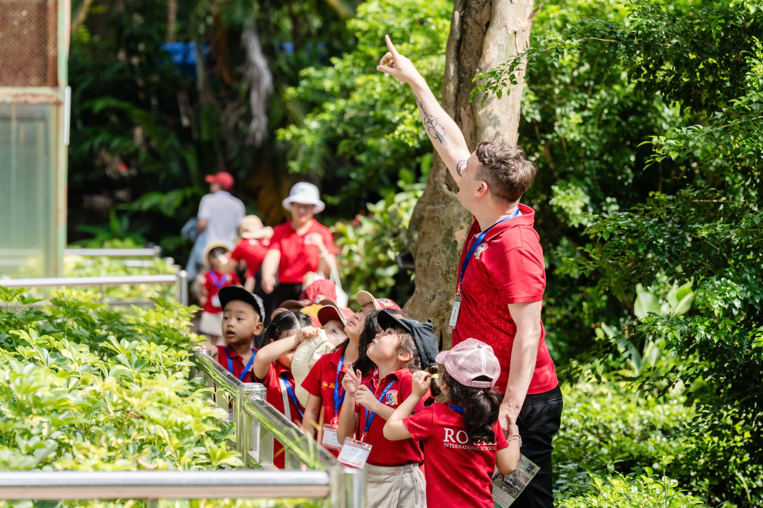 Hè sôi động tại Royal School: 12 tuần, 12 lễ hội, ngàn trải nghiệm của học sinh mầm non  - Ảnh 2.