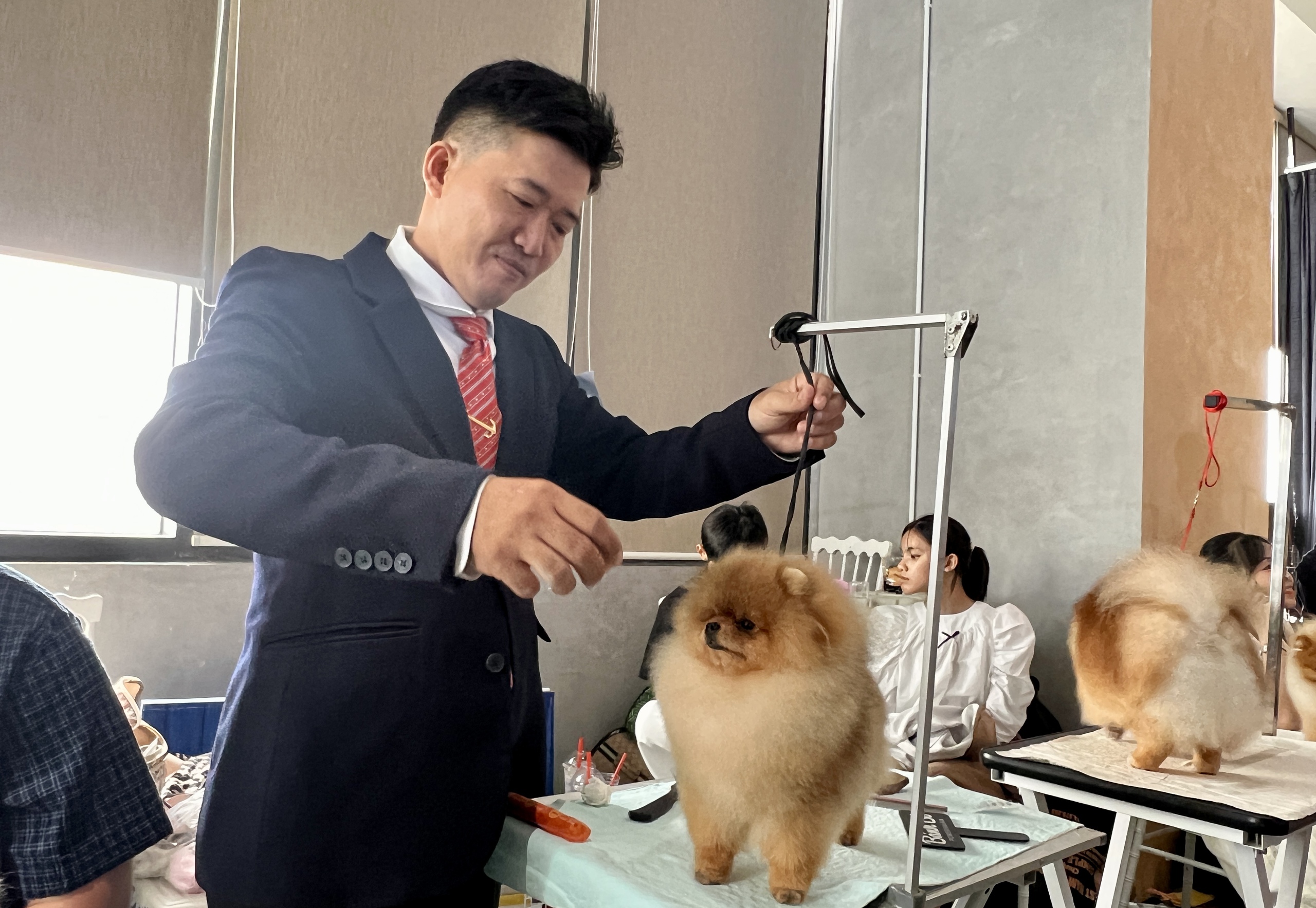 Thú cưng lần đầu vào trung tâm thương mại tại tp . Hcm: Sự kiện đặc biệt cho cộng đồng - Ảnh 5. Thú cưng lần đầu vào trung tâm thương mại tại tp . Hcm: Sự kiện đặc biệt cho cộng đồng - Ảnh 5.