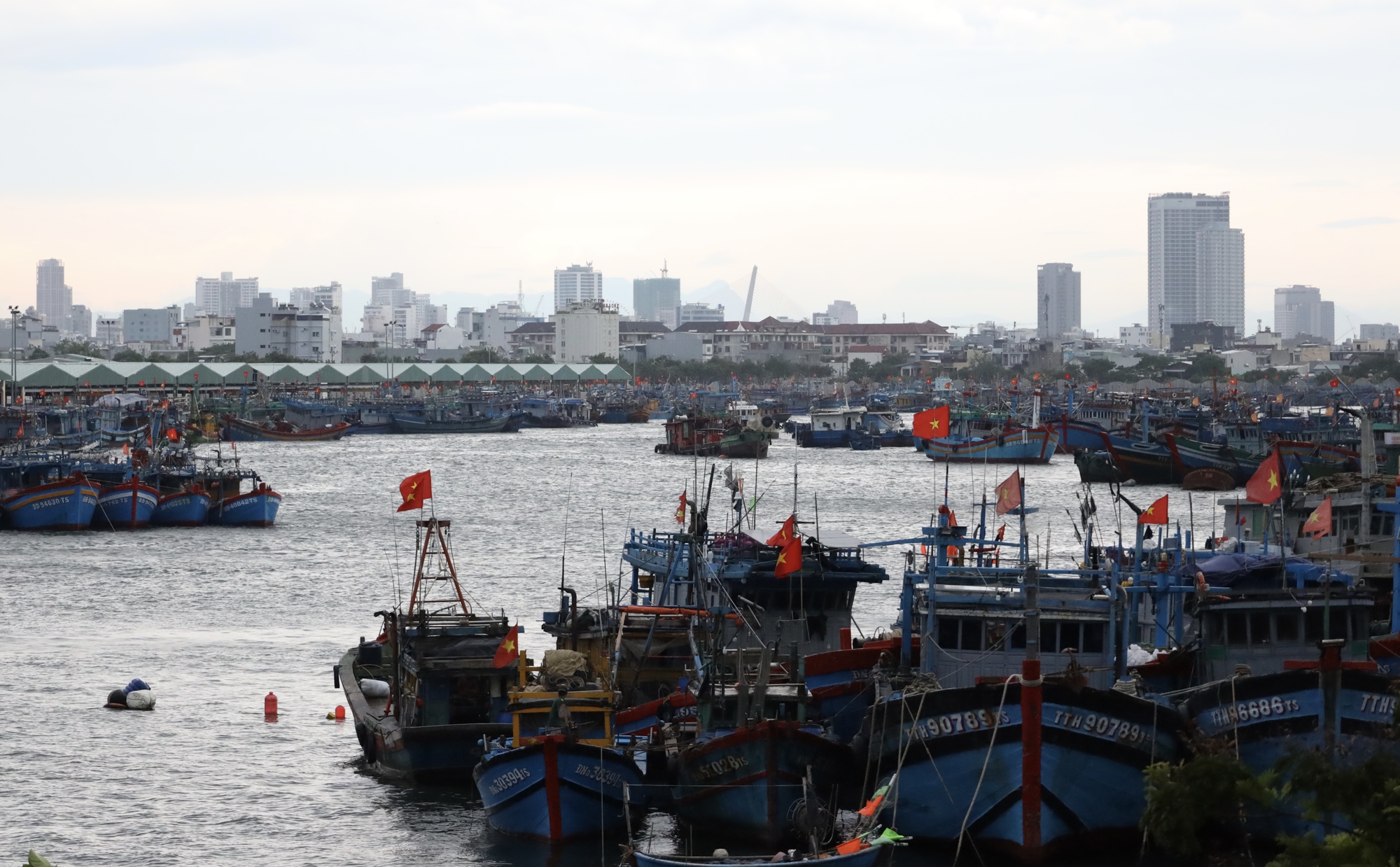 Bão số 5: Pháo sáng đỏ rực trời biển, biên phòng hối thúc ngư dân 'chạy' bão- Ảnh 2. Bão số 5: Pháo sáng đỏ rực trời biển, biên phòng hối thúc ngư dân 'chạy' bão- Ảnh 2.
