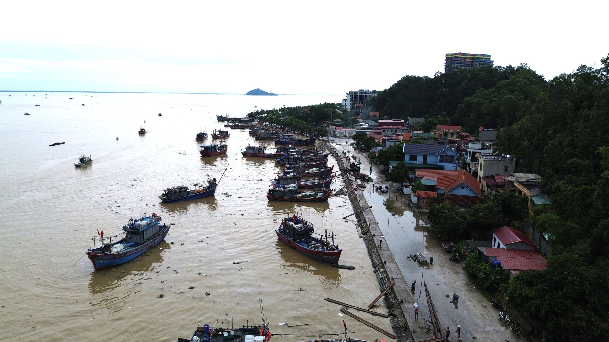 Tàu thuyền nối đuôi nhau đi tránh bão Kajiki- Ảnh 9. Tàu thuyền nối đuôi nhau đi tránh bão Kajiki- Ảnh 9.