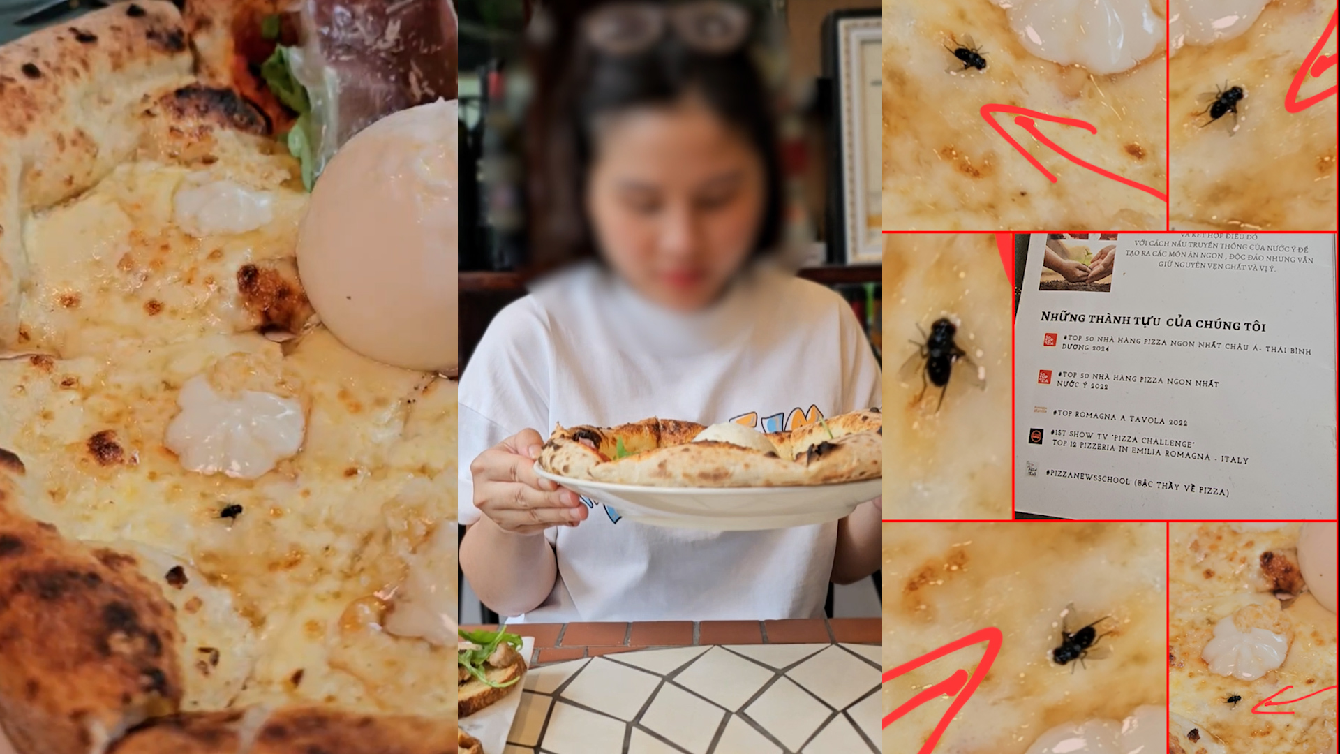 Khách tố trong món pizza nổi tiếng ở TP.HCM có ruồi, nhà hàng nói gì?- Ảnh 1.