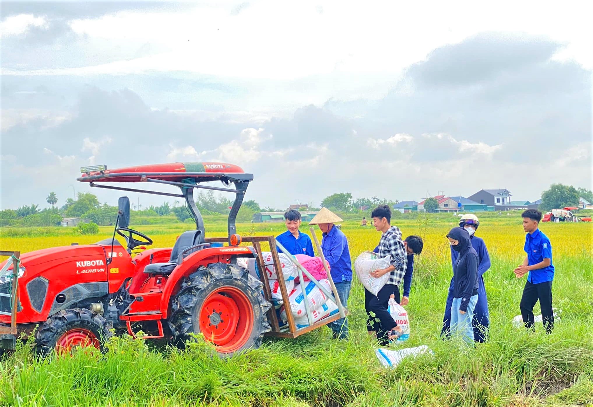 Tuổi trẻ Hà Tĩnh giúp dân gia cố nhà cửa, gặt lúa chạy bão số 5 - Ảnh 6.