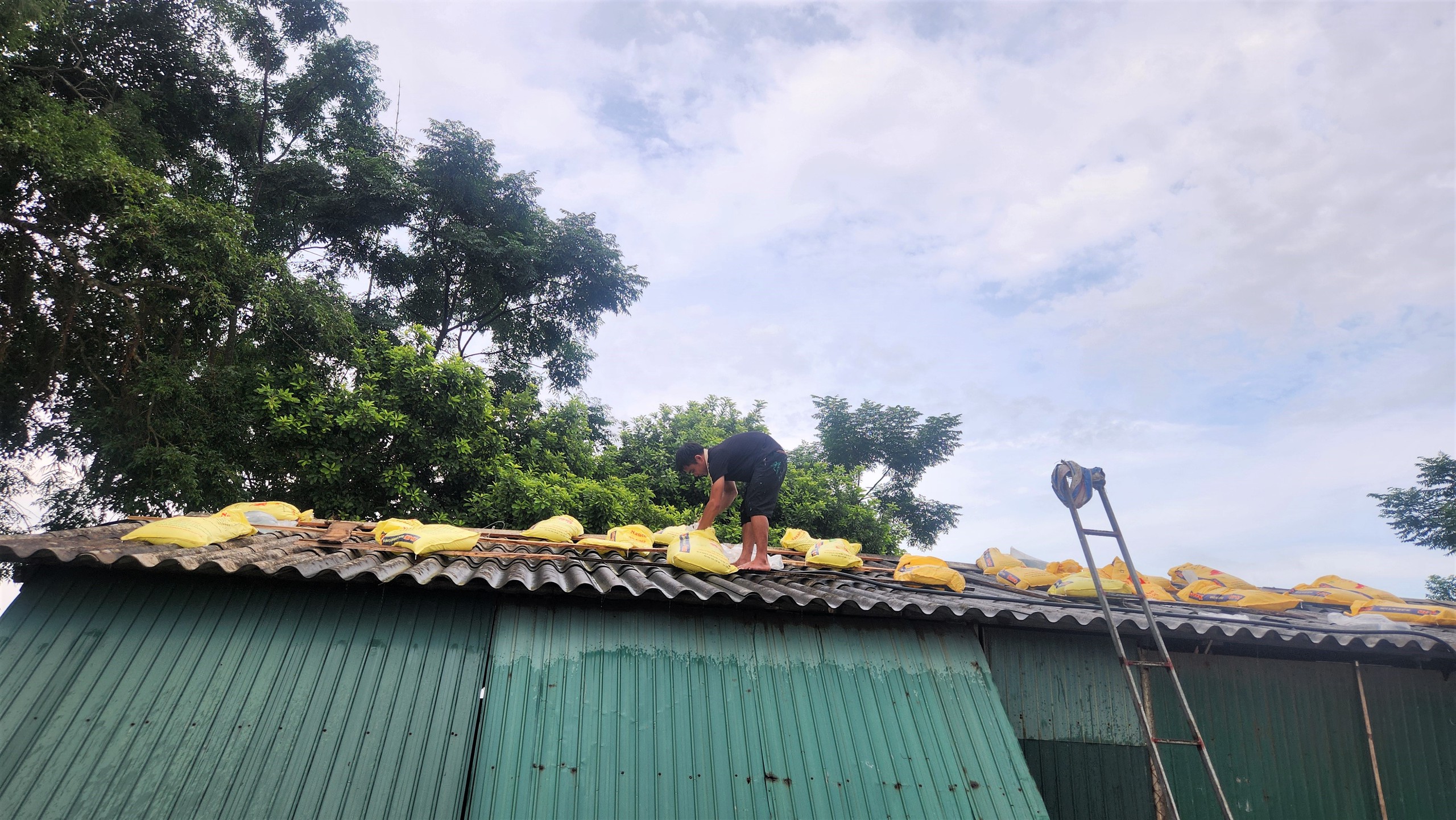 Bão số 5: Người dân Hà Tĩnh dùng túi nước gia cố mái nhà- Ảnh 1. Bão số 5: Người dân Hà Tĩnh dùng túi nước gia cố mái nhà- Ảnh 1.