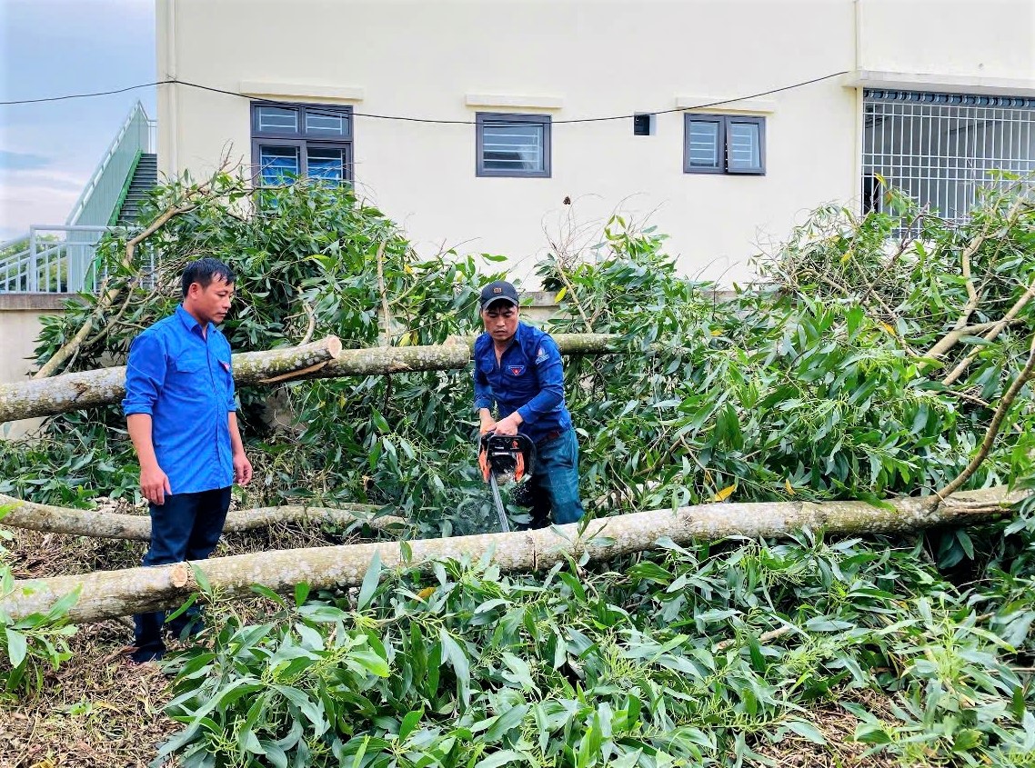 Tuổi trẻ Hà Tĩnh giúp dân gia cố nhà cửa, gặt lúa chạy bão số 5 - Ảnh 7.