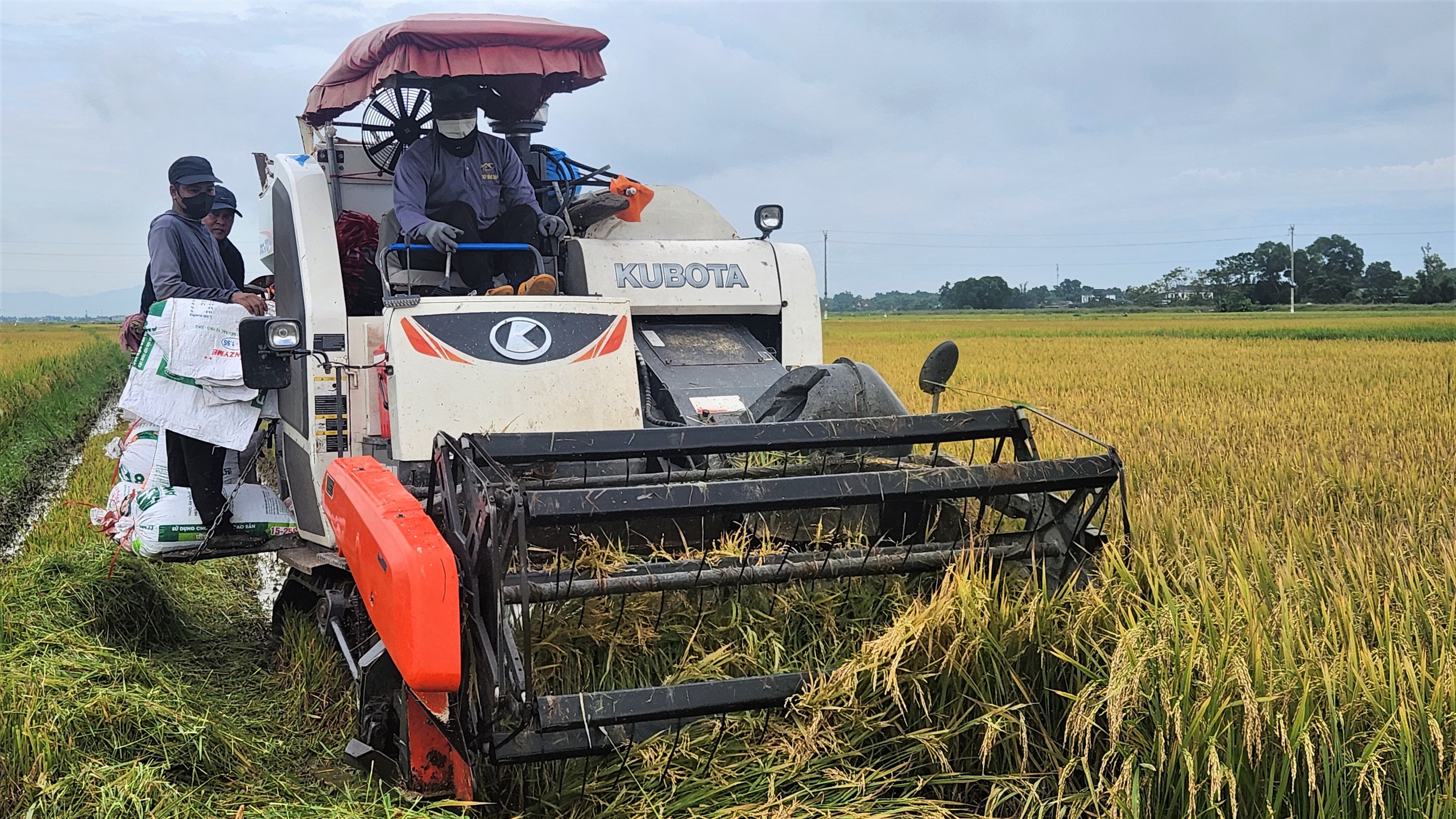 Bão số 5: Người dân Hà Tĩnh dùng túi nước gia cố mái nhà- Ảnh 9. Bão số 5: Người dân Hà Tĩnh dùng túi nước gia cố mái nhà- Ảnh 9.