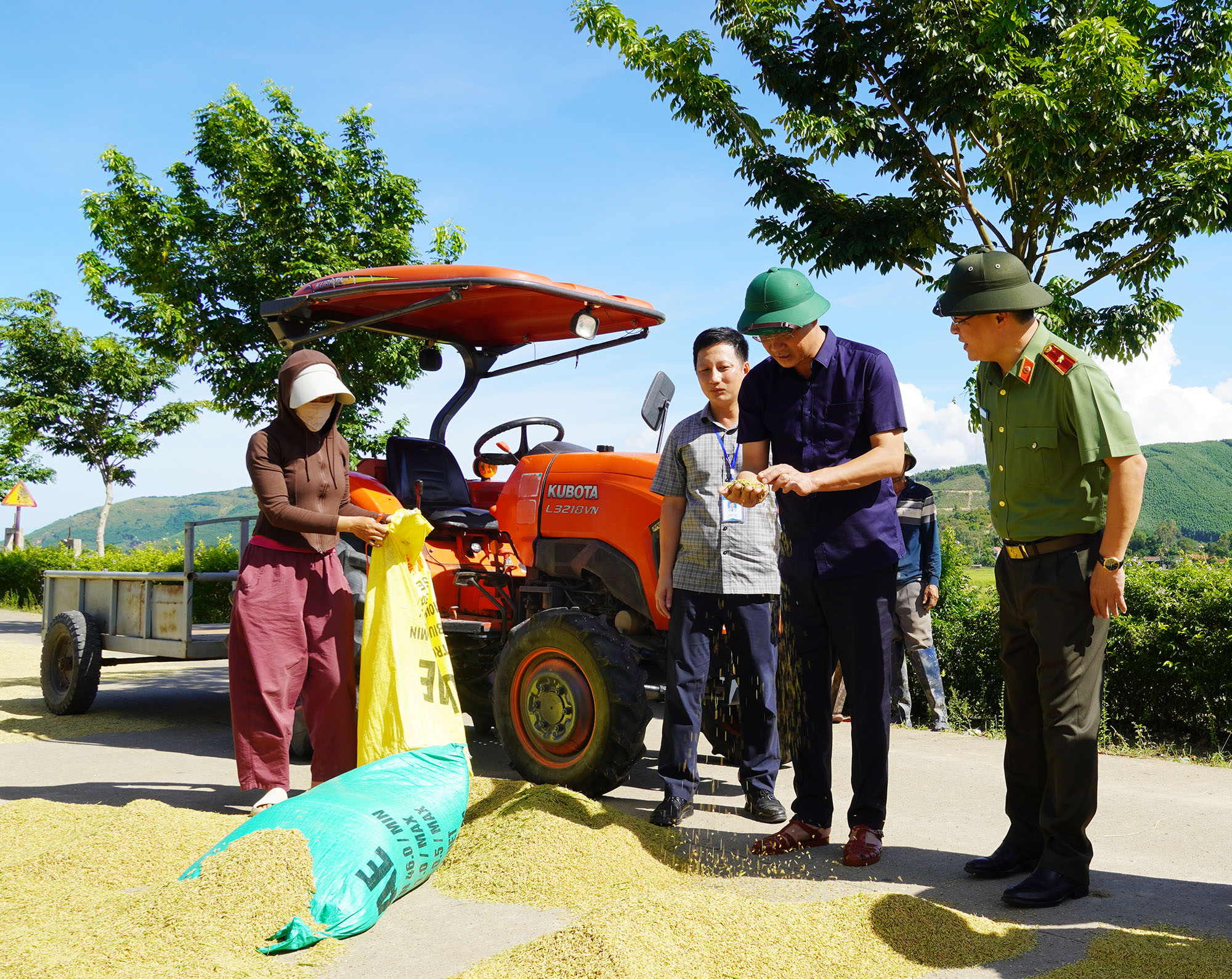 Người dân Quảng Trị xuyên đêm gặt lúa, chạy đua với bão số 5- Ảnh 2. Người dân Quảng Trị xuyên đêm gặt lúa, chạy đua với bão số 5- Ảnh 2.