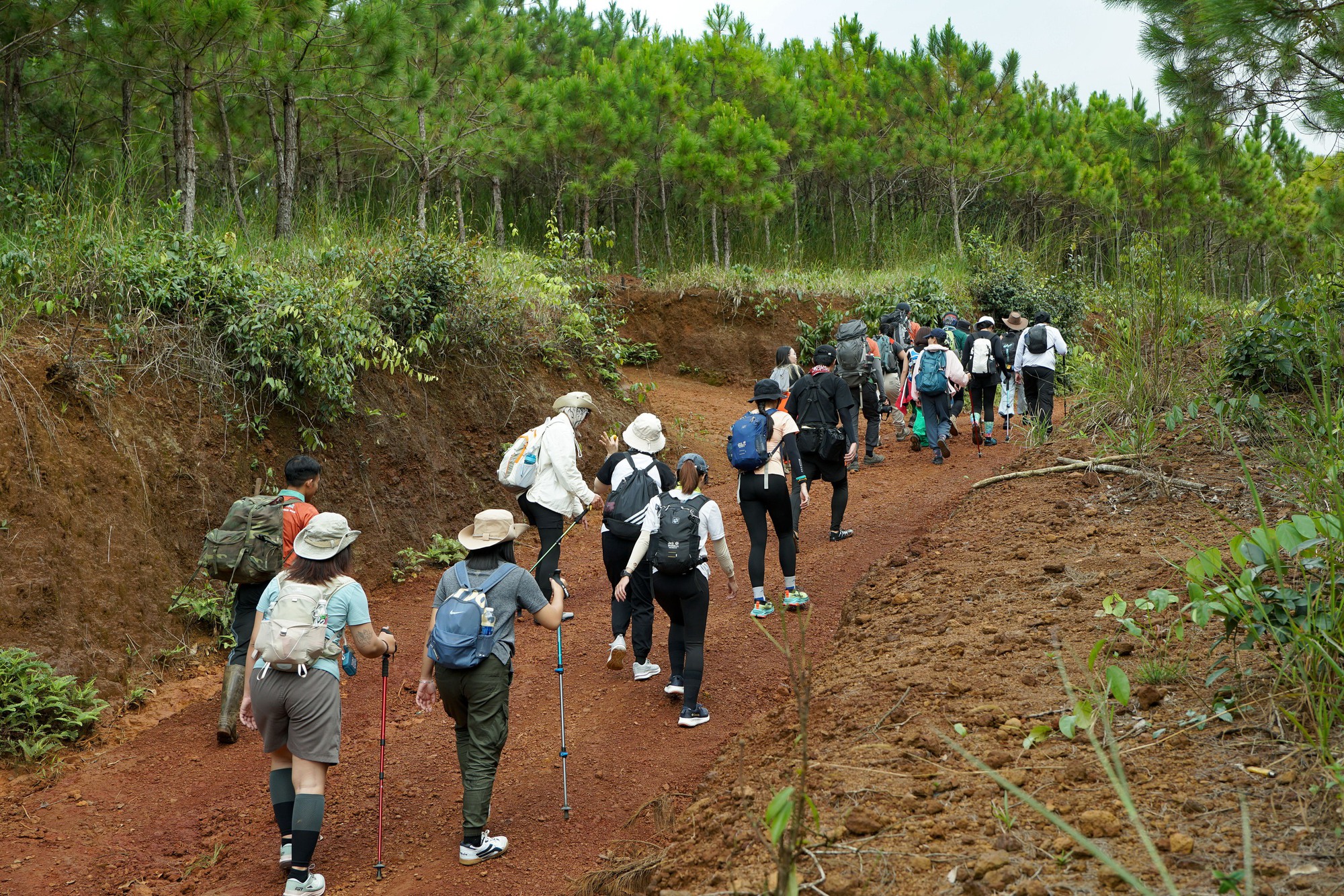 Đi leo núi an toàn: Những điều giới trẻ cần nhớ khi trekking trong rừng - Ảnh 1.