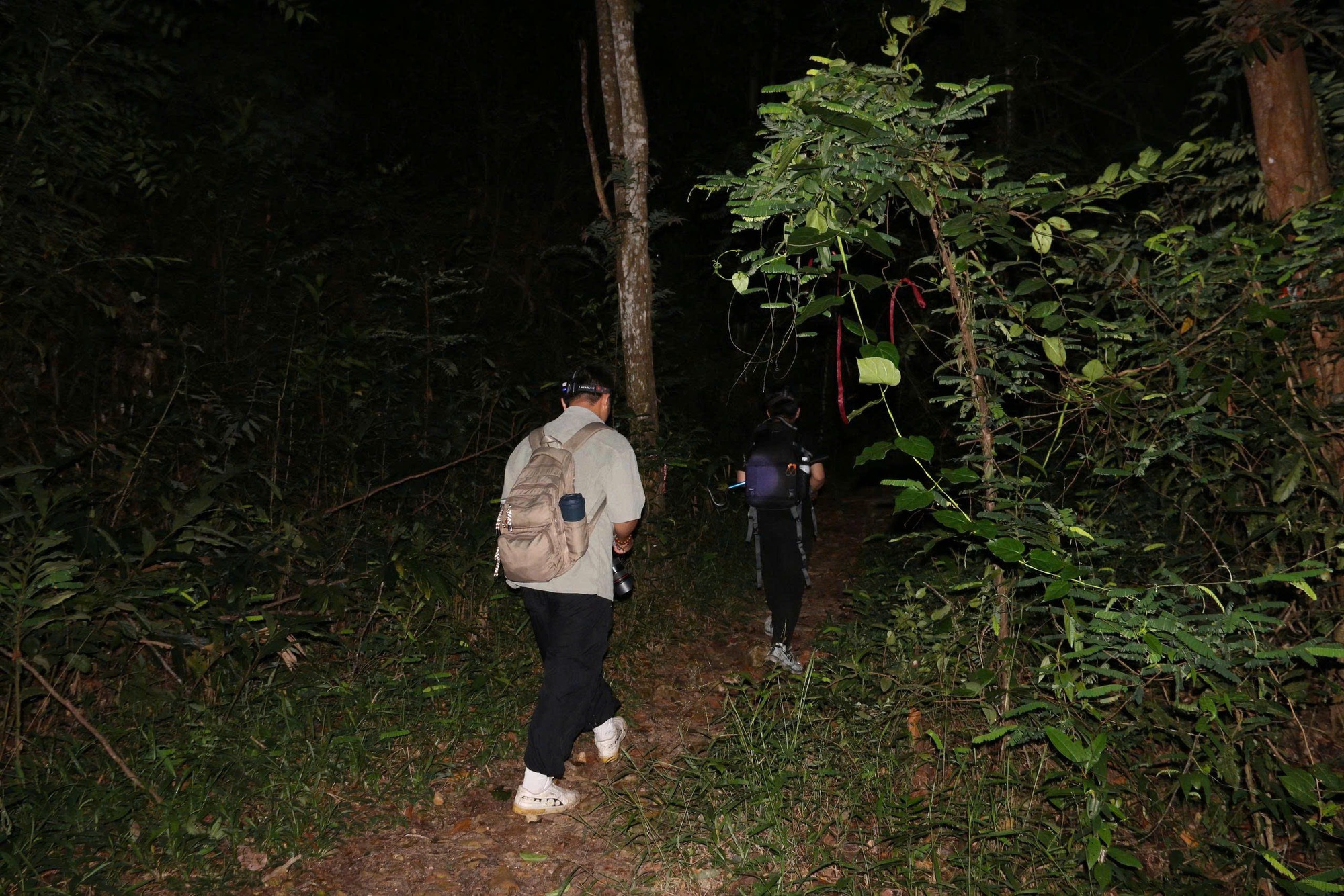 Đi leo núi an toàn: Những điều giới trẻ cần nhớ khi trekking trong rừng - Ảnh 2.
