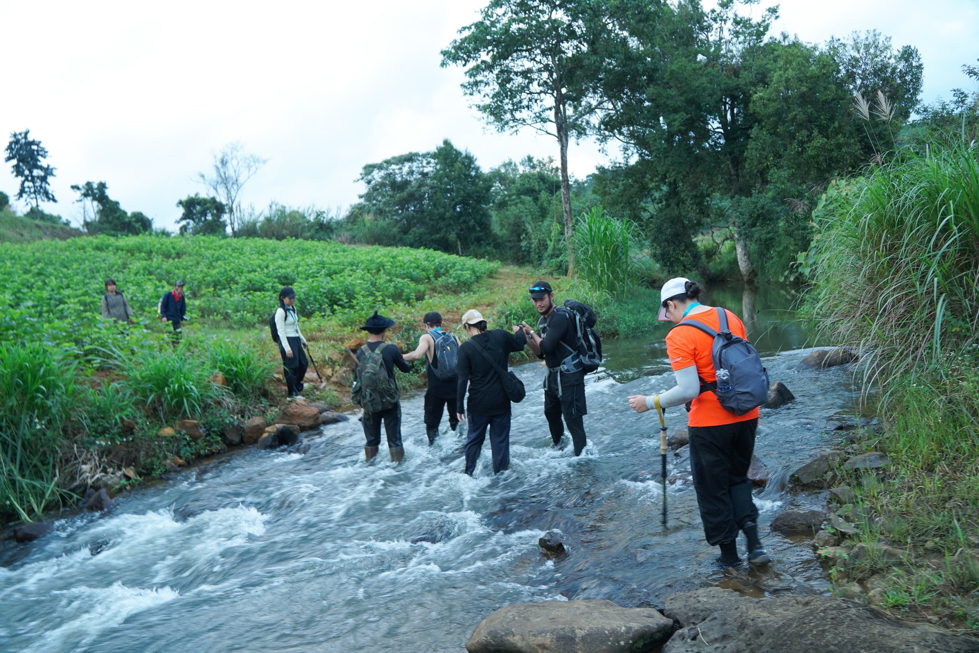 Đi leo núi an toàn: Những điều giới trẻ cần nhớ khi trekking trong rừng - Ảnh 3.
