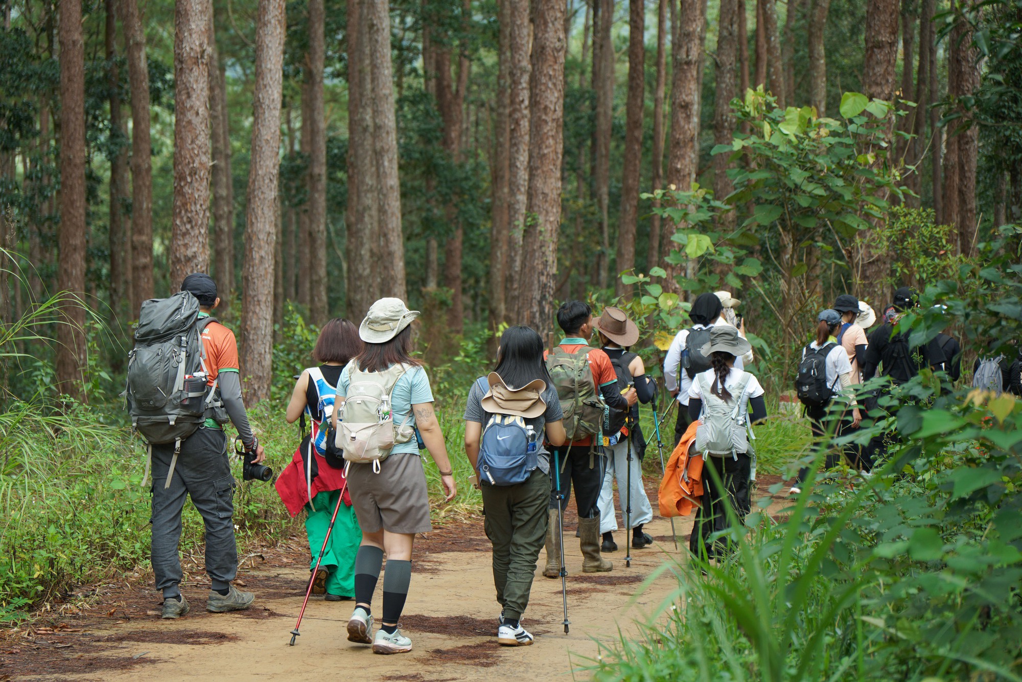 Đi leo núi an toàn: Những điều giới trẻ cần nhớ khi trekking trong rừng - Ảnh 4.