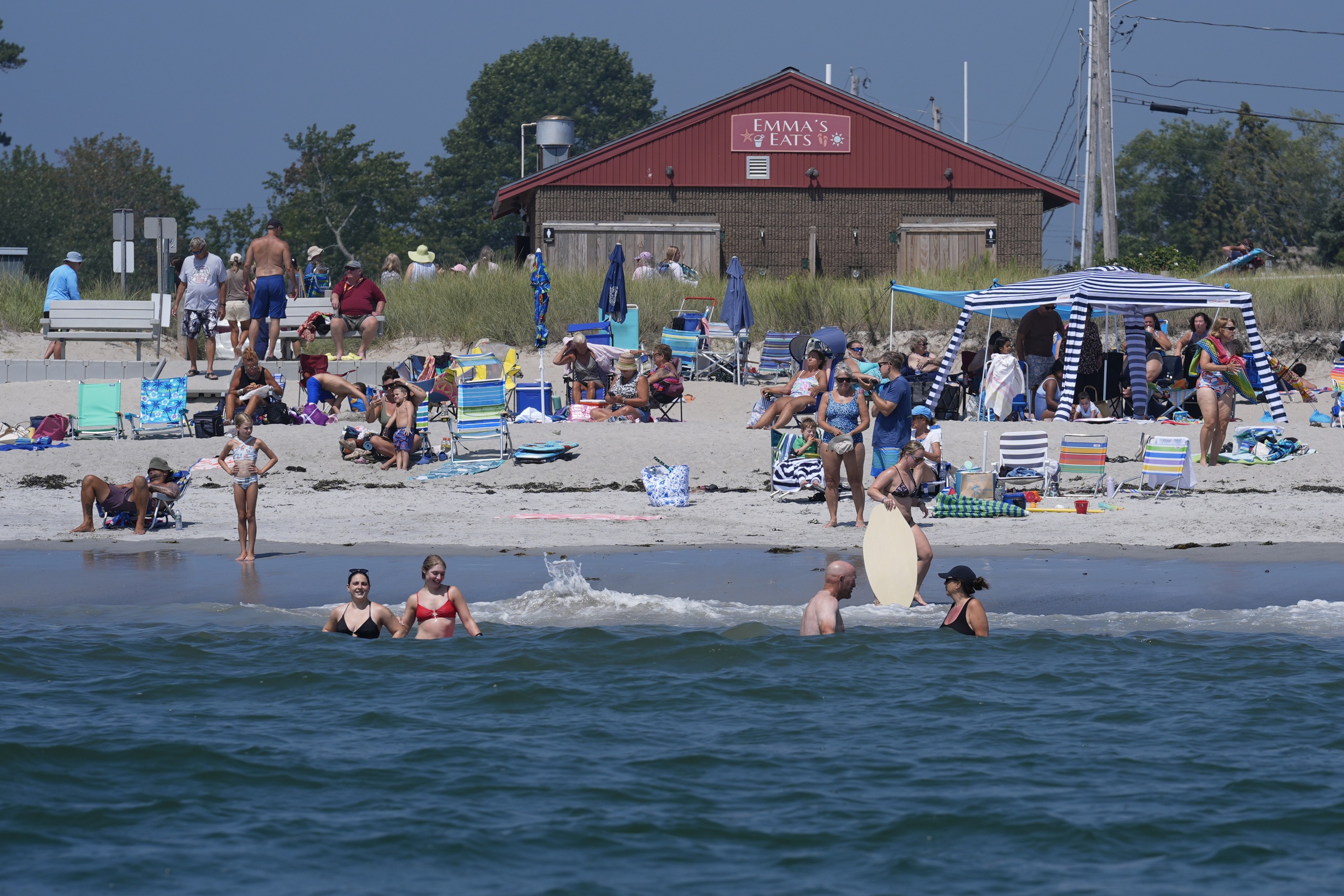 Cá mập trắng khổng lồ xuất hiện thường xuyên gần nhiều bãi biển Mỹ - Ảnh 1.