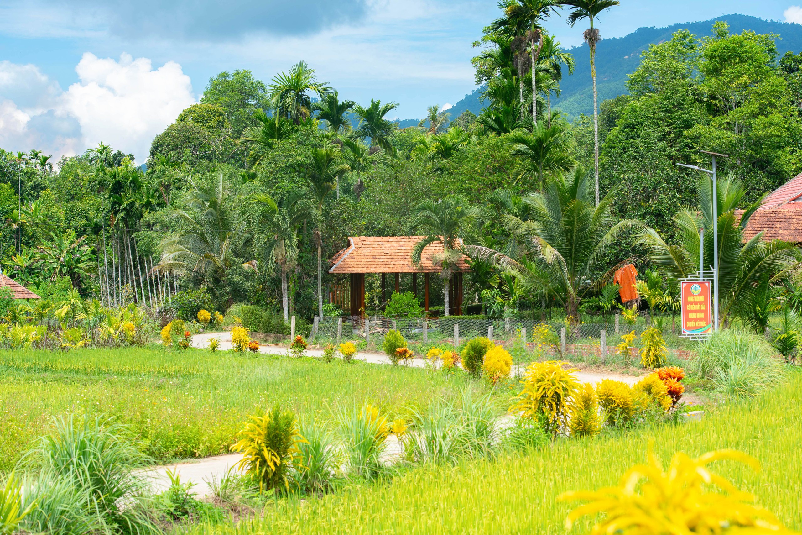 Về Lộc Yên – làng cổ bình yên trong top 4 đẹp nhất Việt Nam - Ảnh 10.
