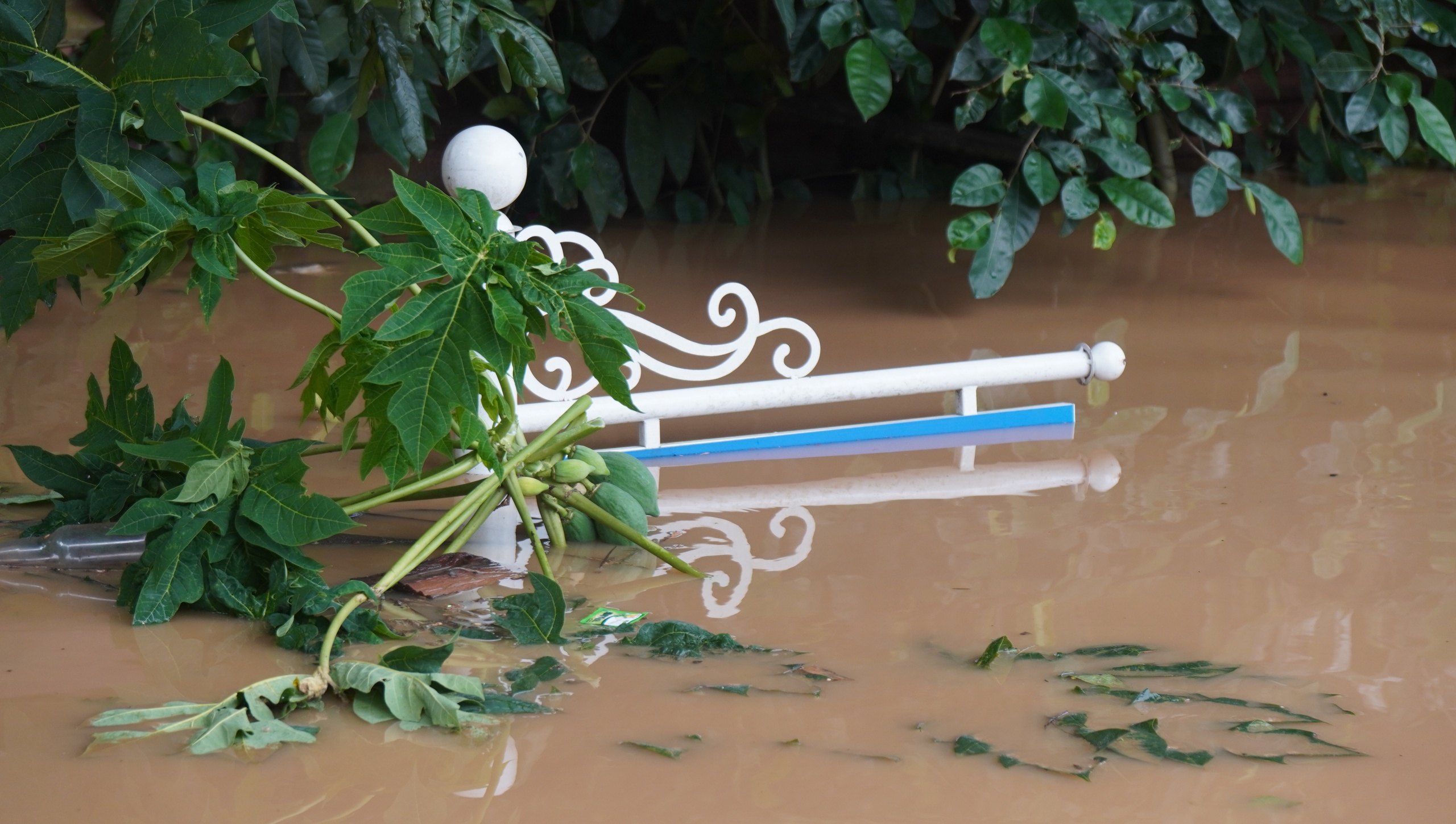 Nước sông Mã ồ ạt đổ vào nhà dân- Ảnh 5.