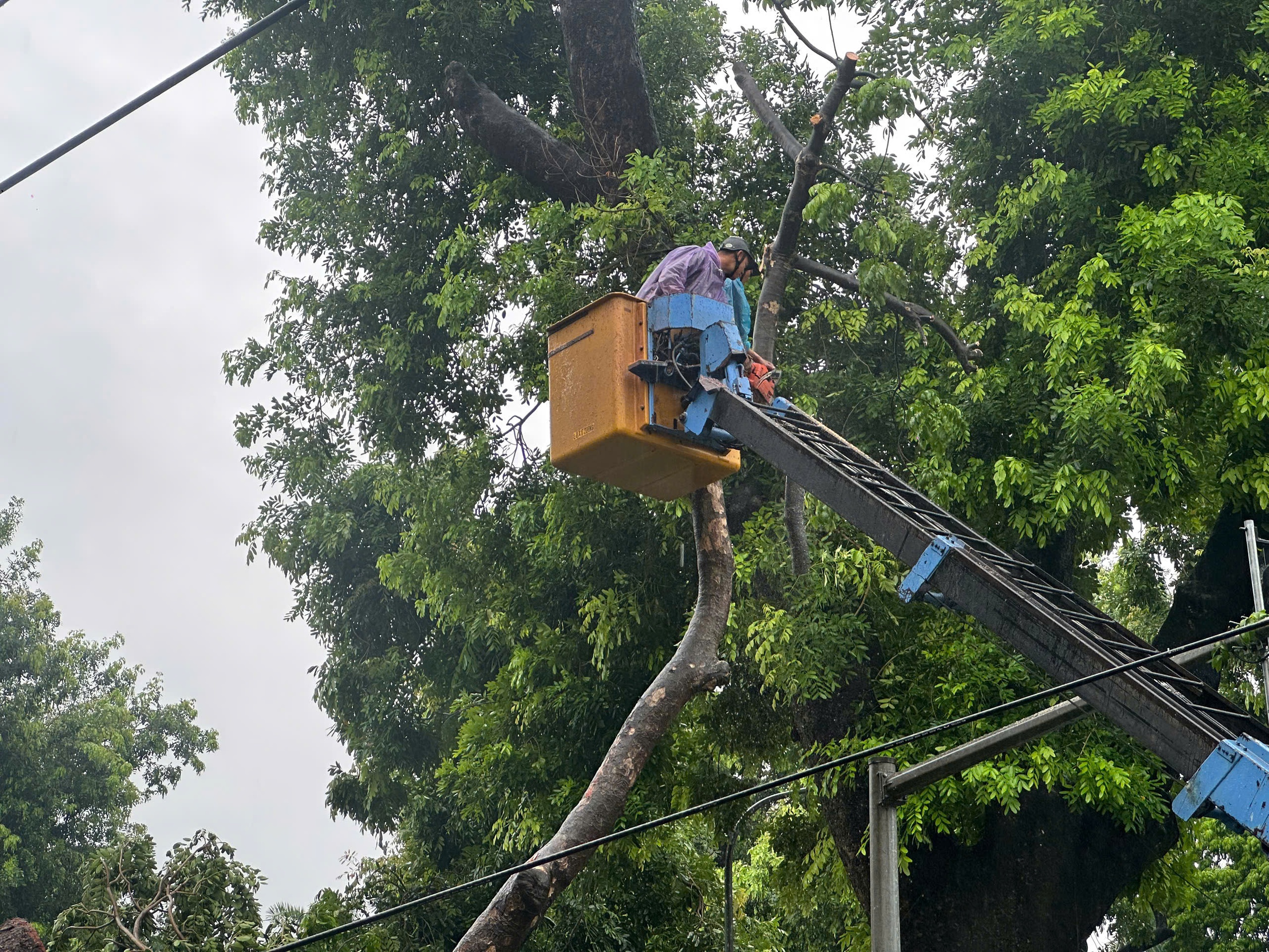 Người dân giải cứu tài xế mắc kẹt trong ô tô bị cây cổ thụ đè trúng - Ảnh 5.