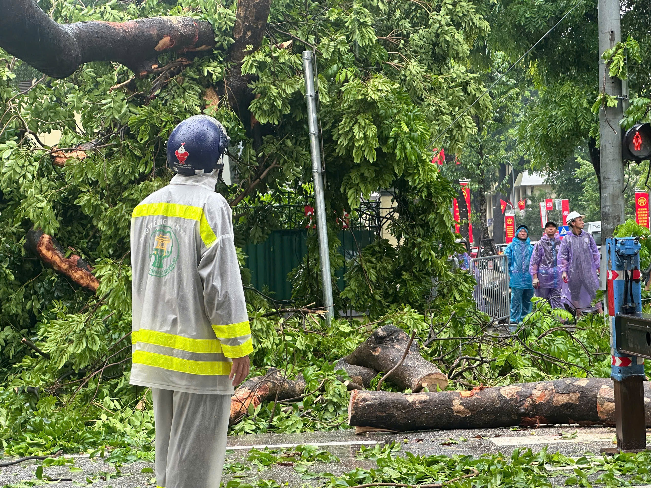 Người dân giải cứu tài xế mắc kẹt trong ô tô bị cây cổ thụ đè trúng - Ảnh 4.