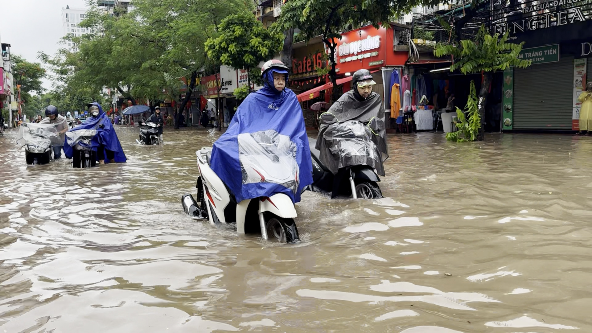 - Ảnh 1. - Ảnh 1.