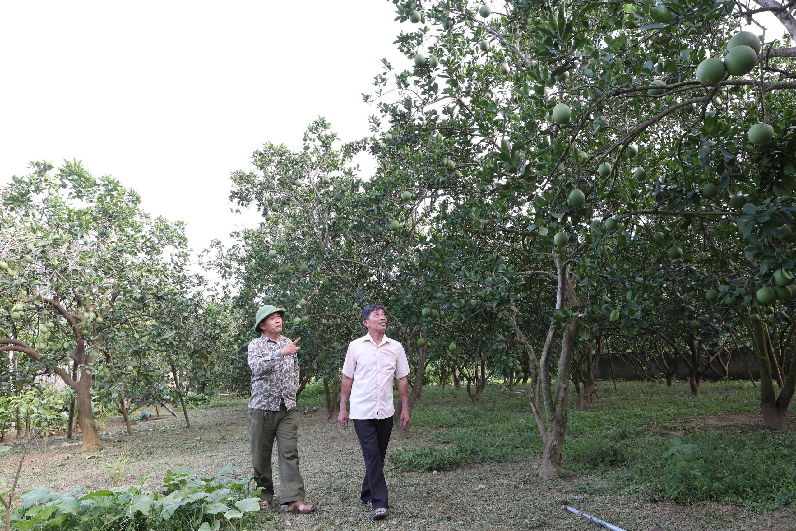 Vào Đảng ở tuổi 62- Ảnh 2. Vào Đảng ở tuổi 62- Ảnh 2.