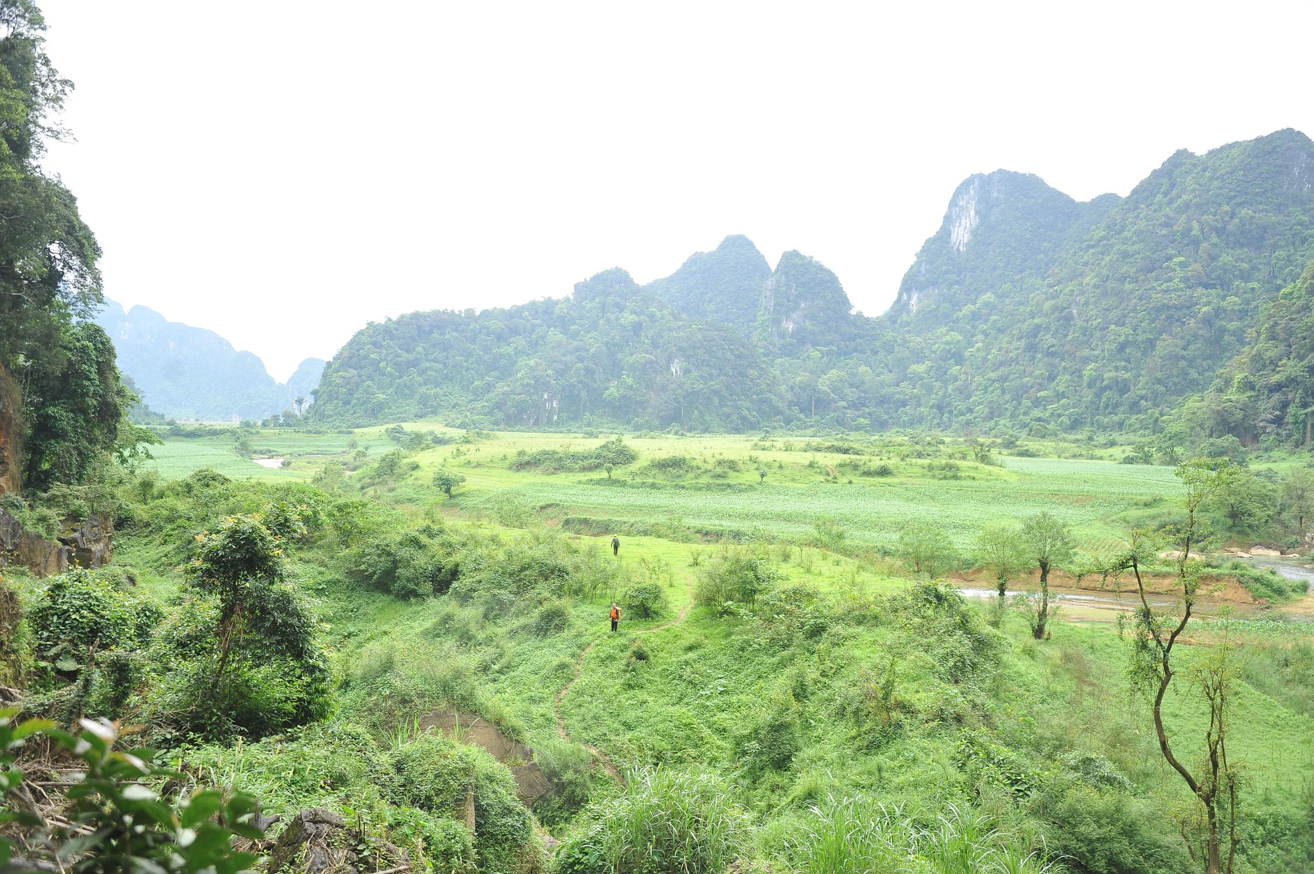 Howard Limbert, người khai mở kho báu hang động Việt Nam - Ảnh 4.