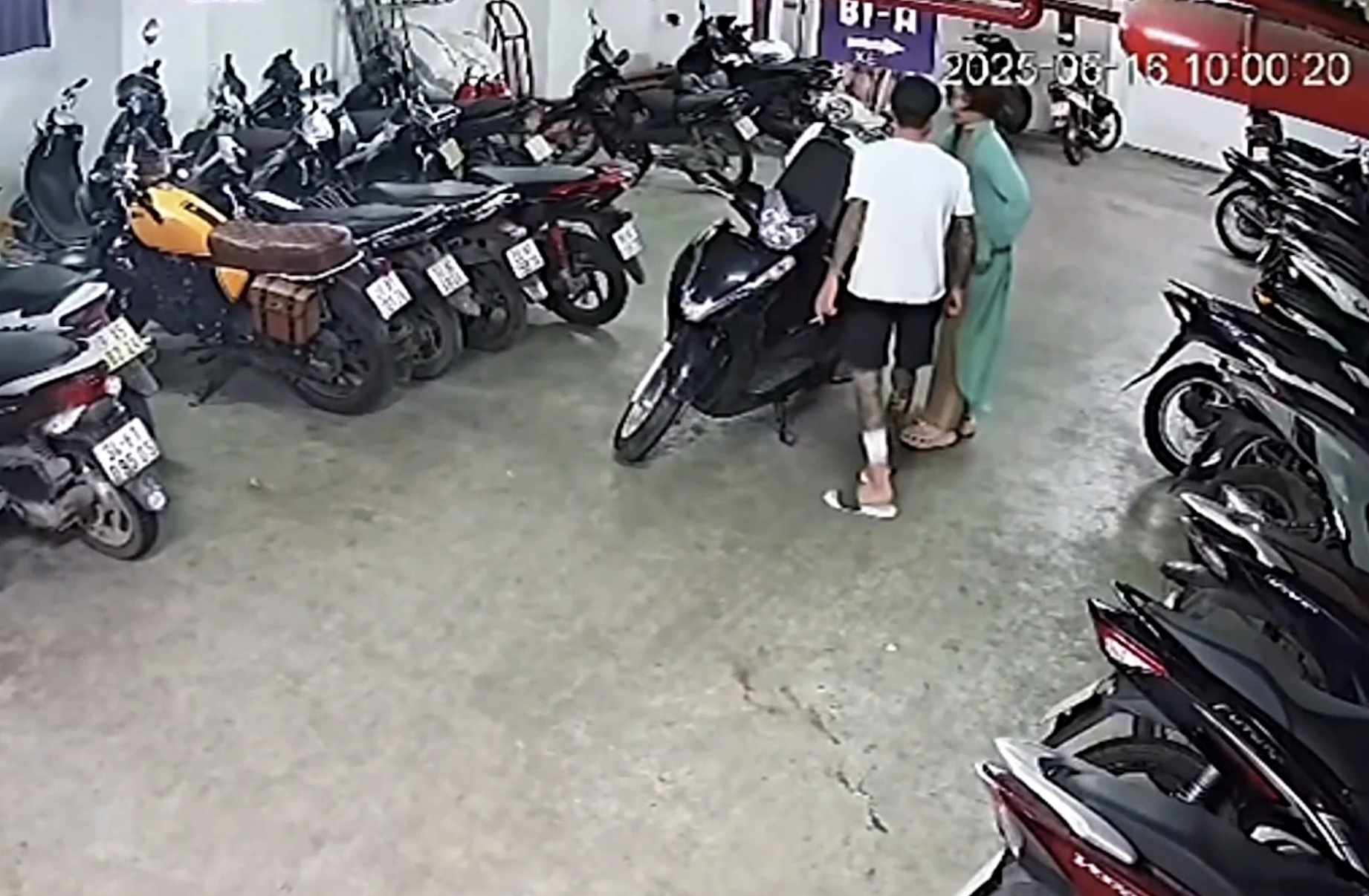 Johnny Trí Nguyễn lên tiếng vụ nữ võ sĩ 'hạ đo ván' thanh niên xăm trổ - Ảnh 2.