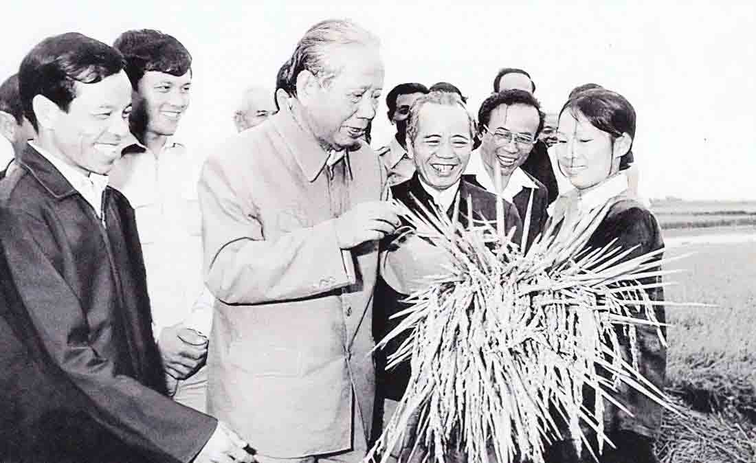 80 năm 'làm cho người nghèo thì đủ ăn, người đủ ăn thì khá giàu, người giàu thì giàu thêm'- Ảnh 1. 80 năm 'làm cho người nghèo thì đủ ăn, người đủ ăn thì khá giàu, người giàu thì giàu thêm'- Ảnh 1.