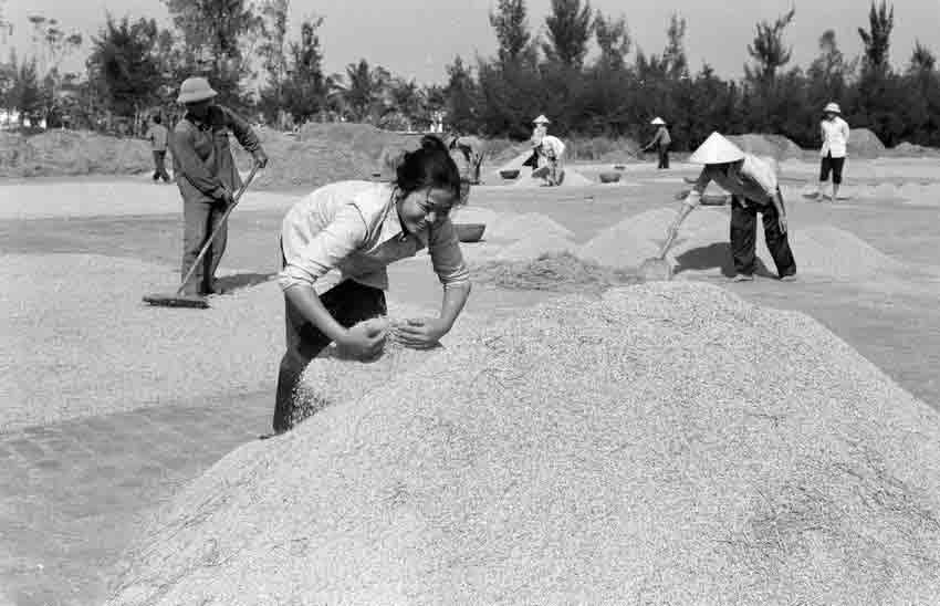 80 năm 'làm cho người nghèo thì đủ ăn, người đủ ăn thì khá giàu, người giàu thì giàu thêm'- Ảnh 2. 80 năm 'làm cho người nghèo thì đủ ăn, người đủ ăn thì khá giàu, người giàu thì giàu thêm'- Ảnh 2.