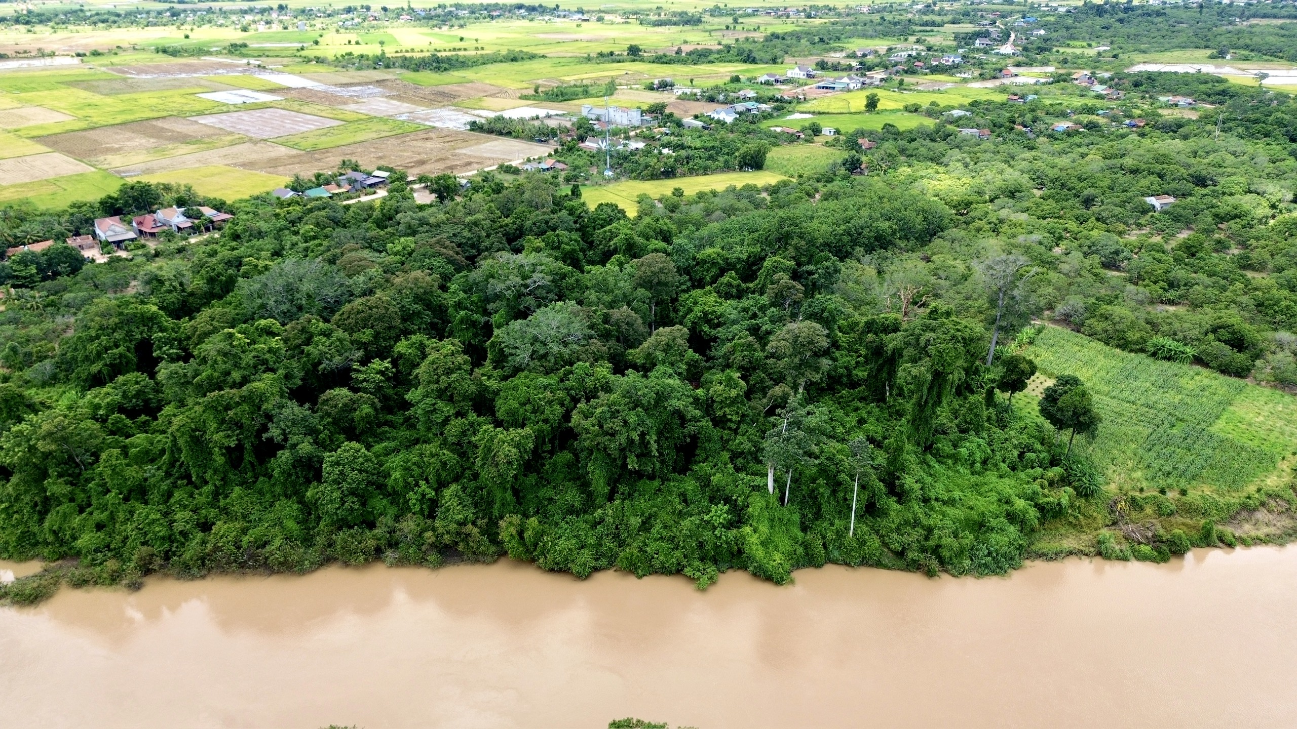 Îngrijorări legate de ocuparea singurului turn Cham din Munții Centrali - Fotografia 2. Nỗi lo tháp Chăm duy nhất ở Tây nguyên bị xâm hại- Ảnh 2.