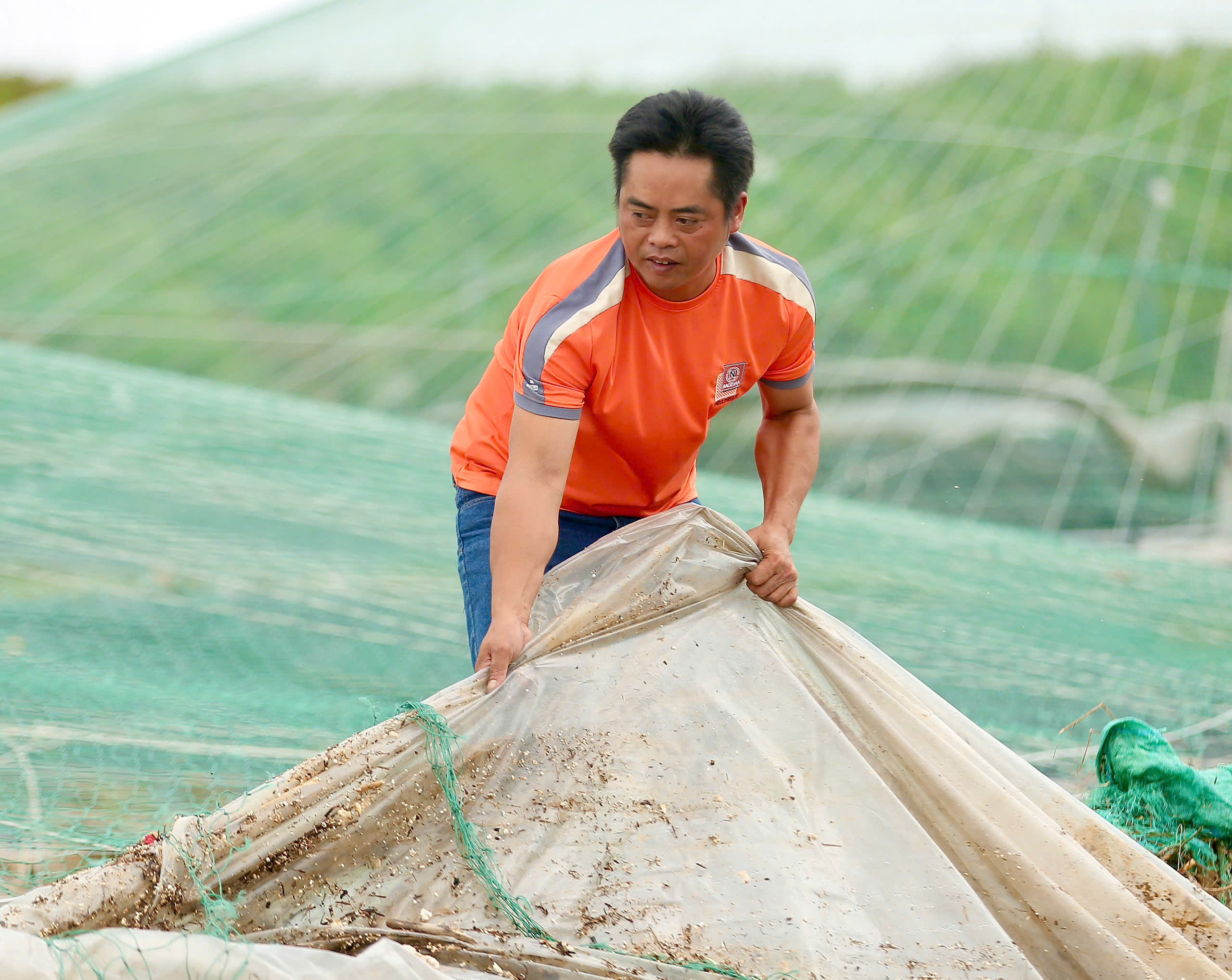 Thiệt hại nặng nề sau bão số 5 tại Thanh Hóa ảnh hưởng đến người nuôi tôm - Ảnh 4.