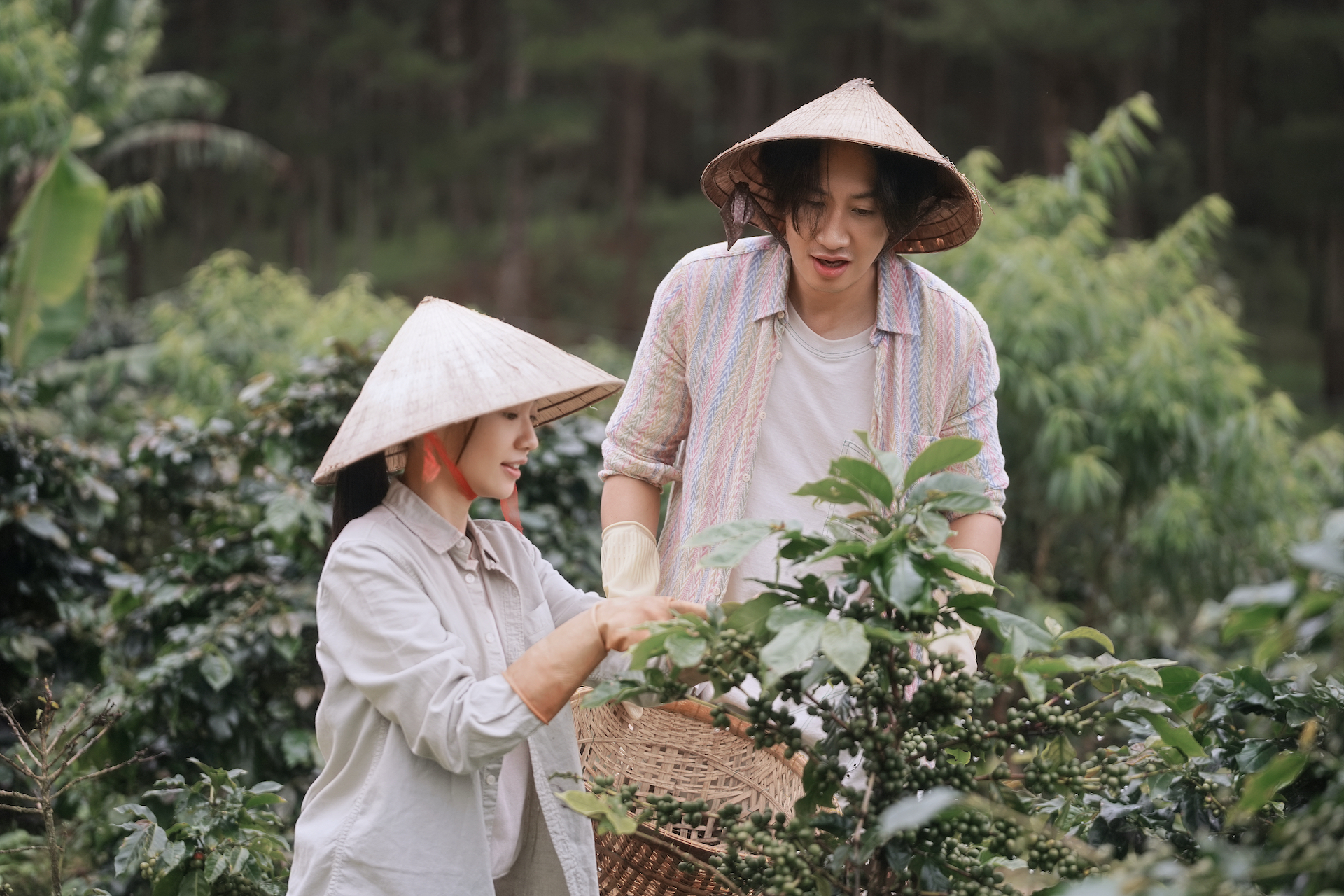 Thêm phim Việt - Hàn rục rịch ra rạp sau thành công của 'Mang mẹ đi bỏ' - Ảnh 1.