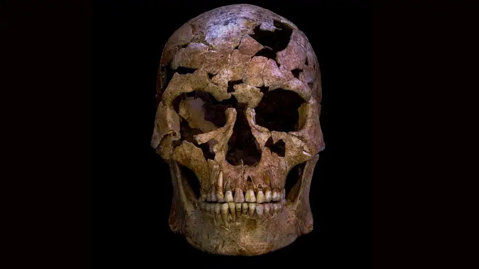 Giải mã bộ hài cốt 12.000 năm tuổi ở Ninh Bình- Ảnh 1.