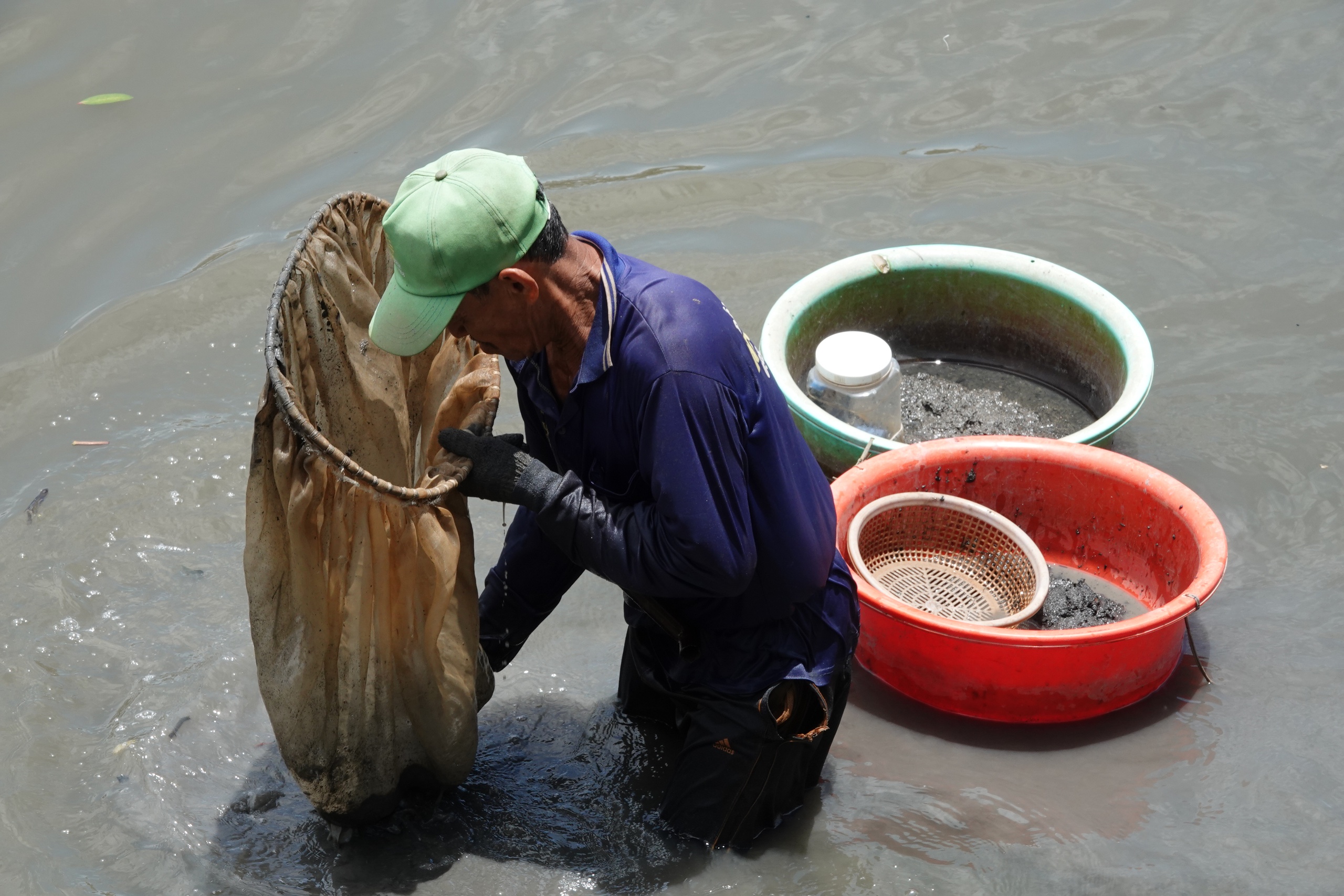 Người miền Tây mưu sinh giữa dòng nước ô nhiễm vớt trùn chỉ trên sông Maspero - Ảnh 4. Người miền Tây mưu sinh giữa dòng nước ô nhiễm vớt trùn chỉ trên sông Maspero - Ảnh 4.