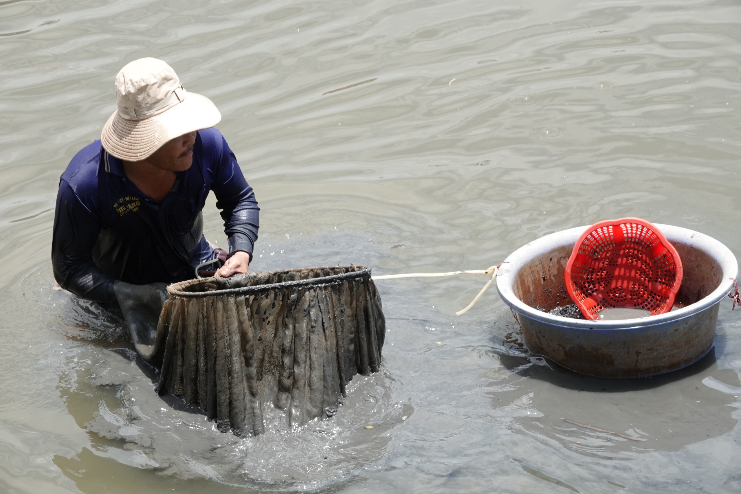 Người miền Tây mưu sinh giữa dòng nước ô nhiễm vớt trùn chỉ trên sông Maspero - Ảnh 5. Người miền Tây mưu sinh giữa dòng nước ô nhiễm vớt trùn chỉ trên sông Maspero - Ảnh 5.