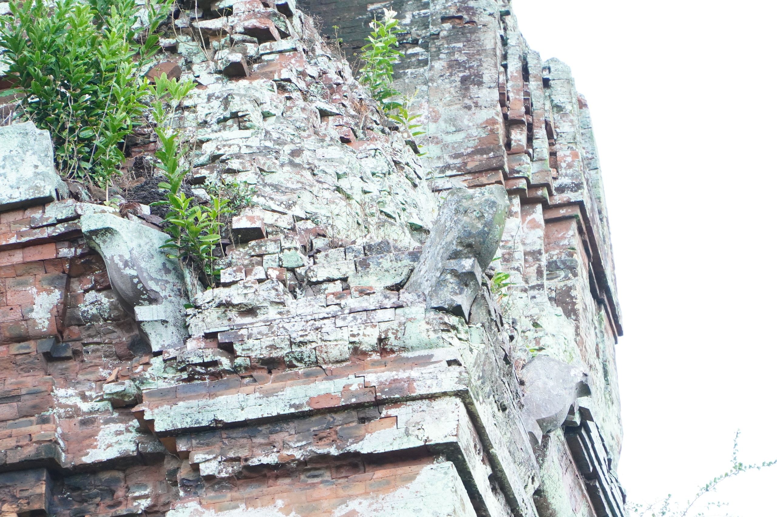 Gia Lai membina projek untuk memulihkan menara kuno berusia hampir 900 tahun - Foto 22. Gia Lai xây dựng đề án trùng tu ngôi tháp cổ gần 900 năm tuổi- Ảnh 22.