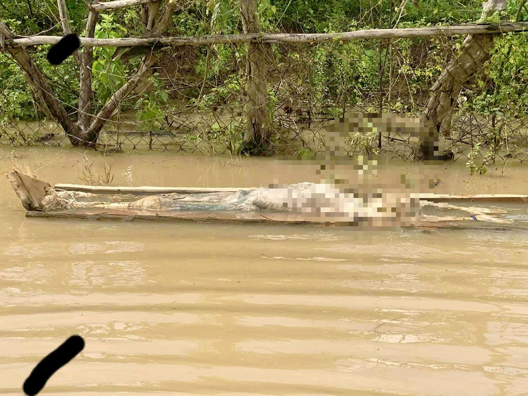 Tìm thi thể và quan tài trôi trên hồ thủy điện Hủa Na , Nghệ An - Ảnh 1. Tìm thi thể và quan tài trôi trên hồ thủy điện Hủa Na , Nghệ An - Ảnh 1.