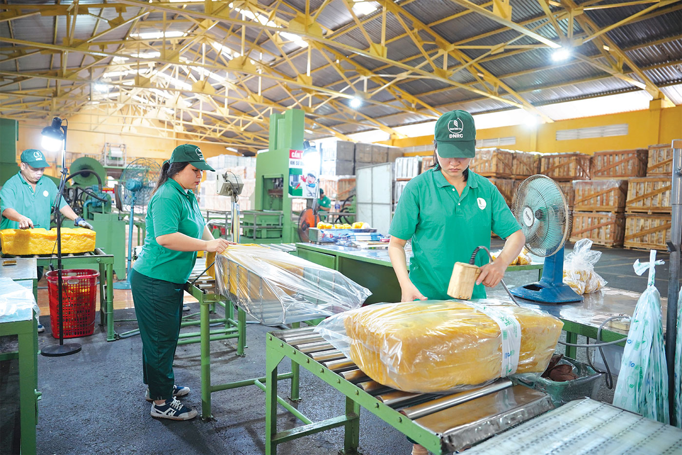 Tổng công ty Cao su Đồng Nai: Bứt phá từ nền tảng vững chắc - Ảnh 2. Tổng công ty Cao su Đồng Nai: Bứt phá từ nền tảng vững chắc - Ảnh 2.