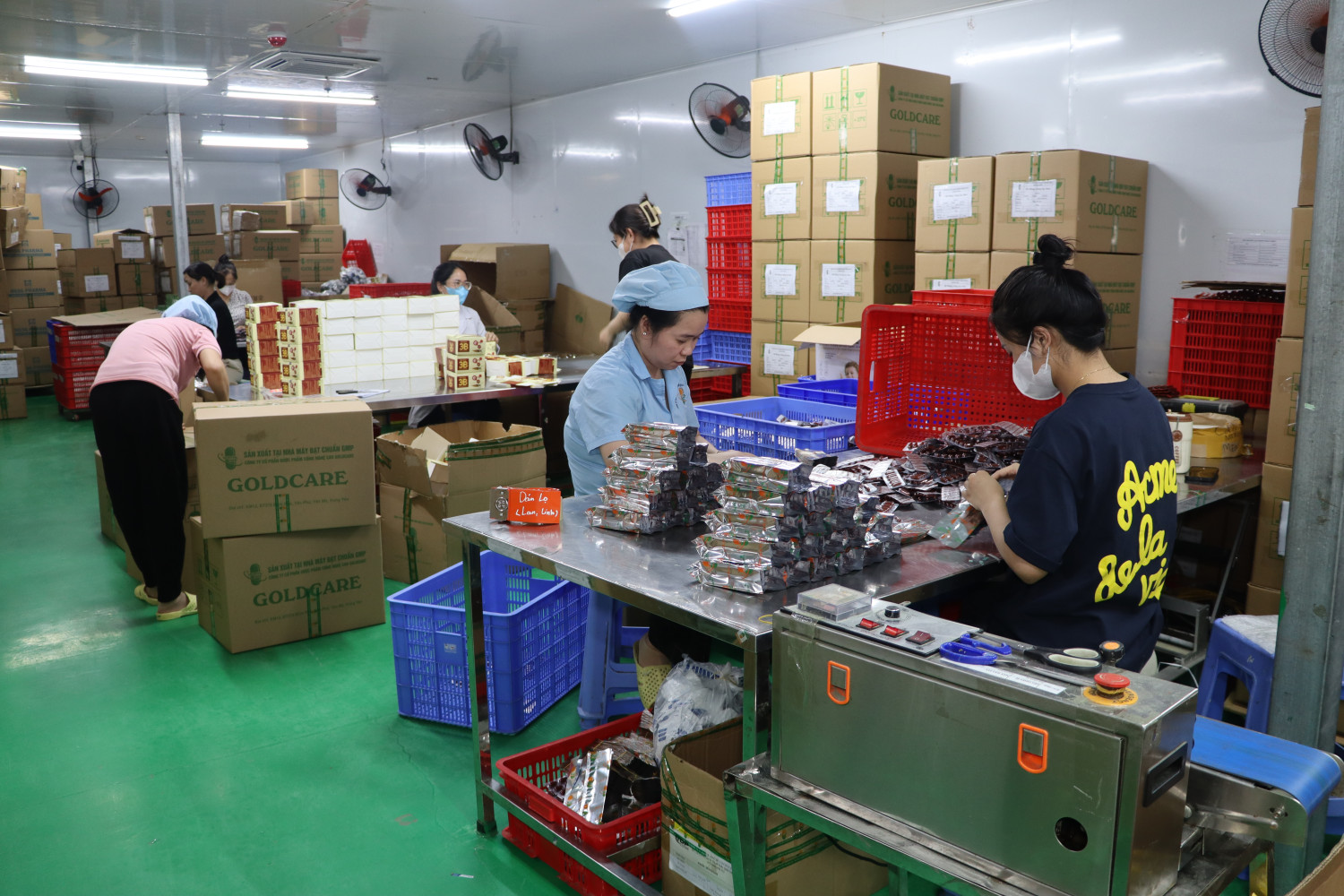 Khởi tố 2 "nữ quái" sản xuất thực phẩm chức năng giả quy mô lớn - Ảnh 2.