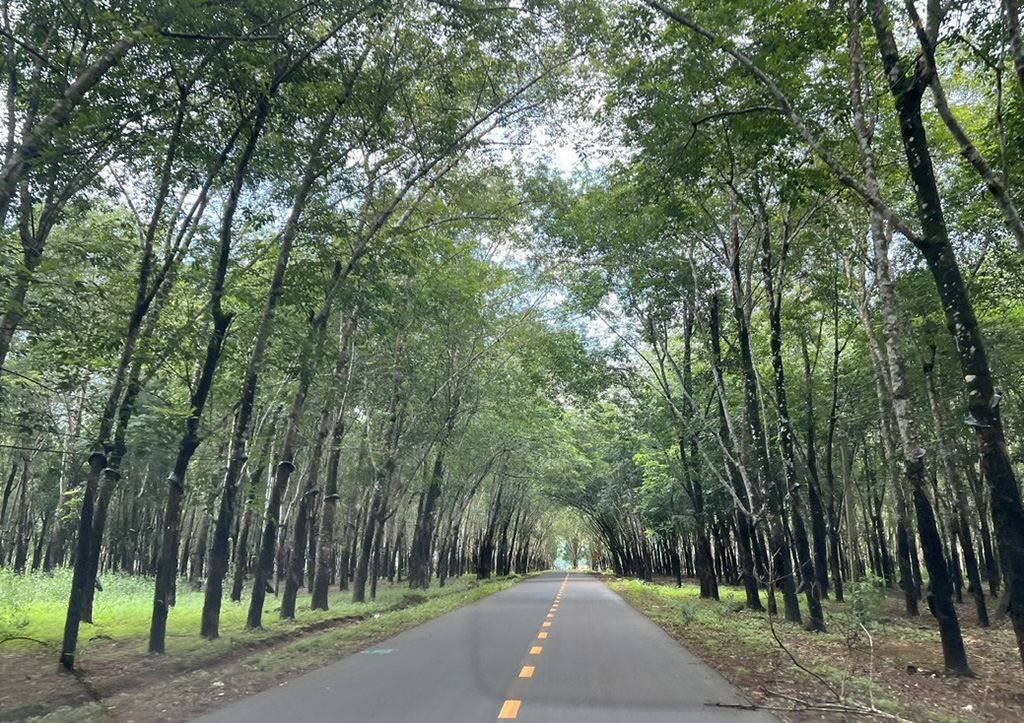 'Làng Cam' trên đất Việt: Hành trình tìm sự sống- Ảnh 5. 'Làng Cam' trên đất Việt: Hành trình tìm sự sống- Ảnh 5.