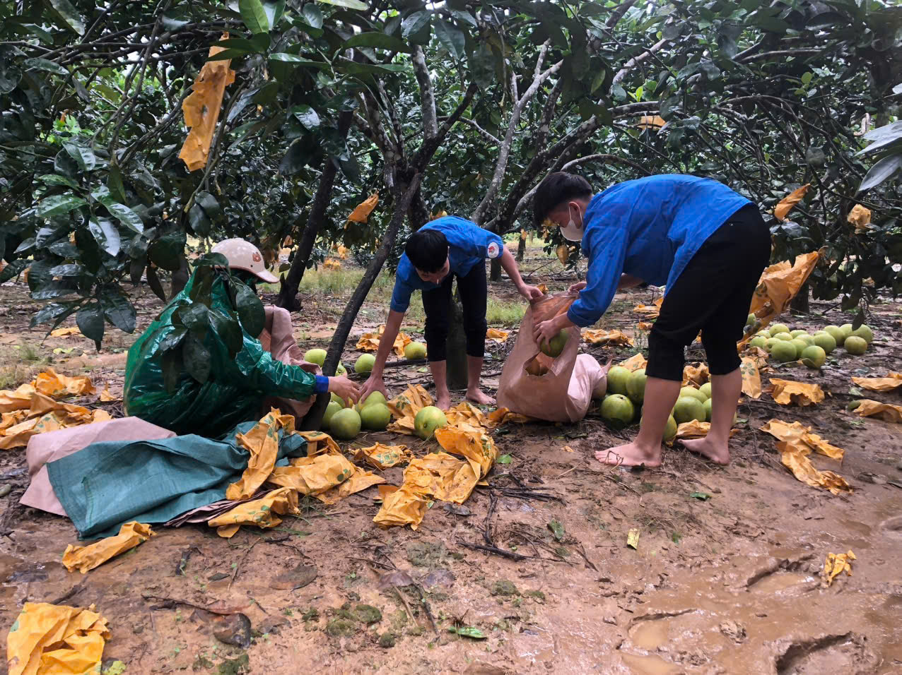 Bão số 6: 100 hộ dân thôn vạn chài bị chia cắt do ngập lụt - Ảnh 3.
