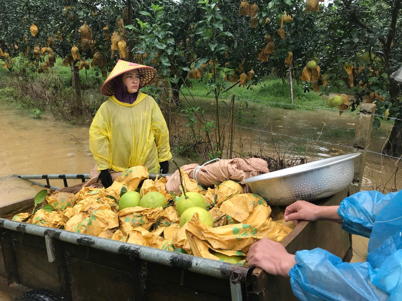 Thủy điện Hố Hô xả tràn, mưa lớn khiến nhiều tuyến đường ngập lụt - Ảnh 7.