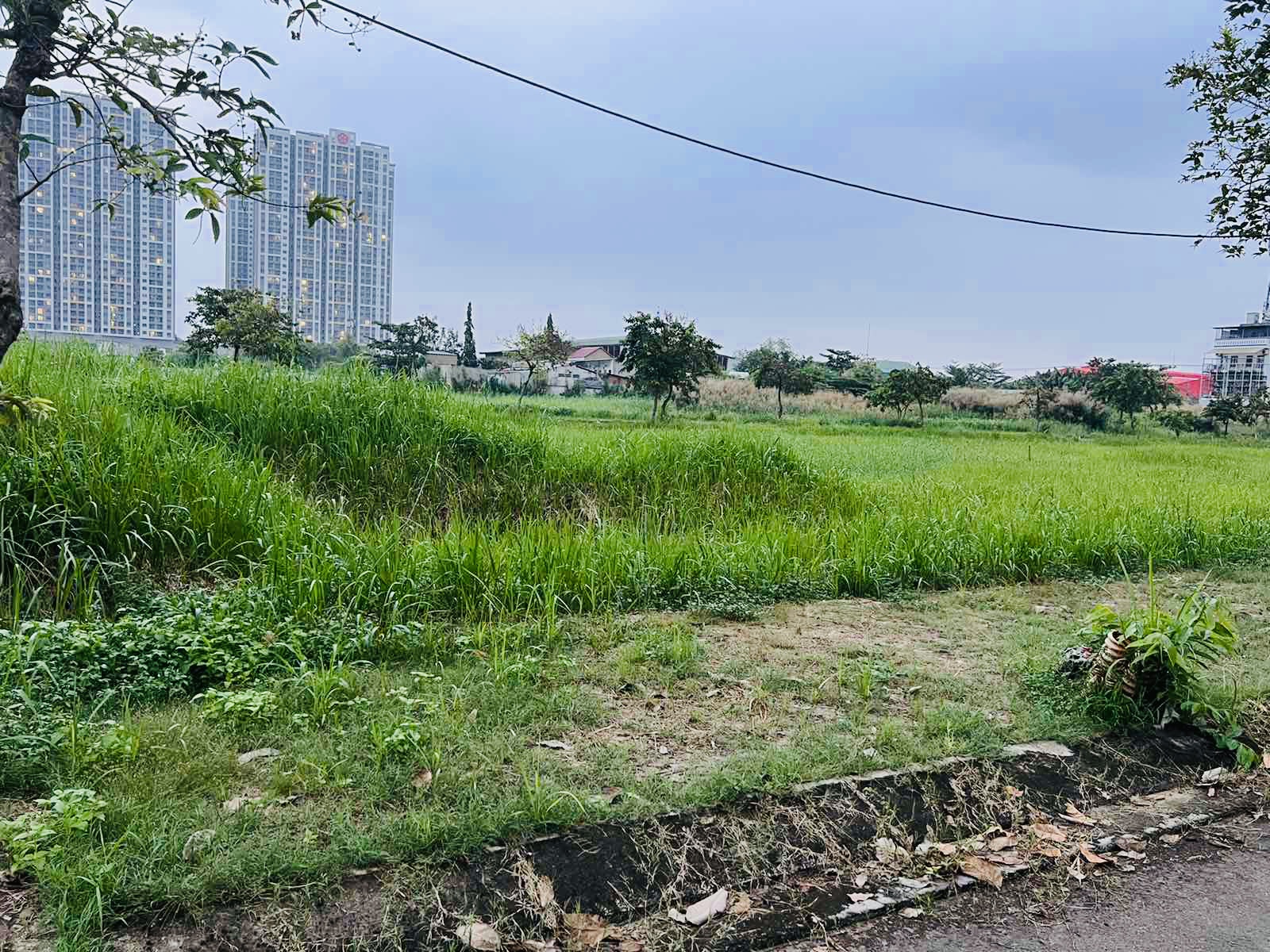 TP.HCM kiến nghị gỡ khó cho đất công- Ảnh 1.