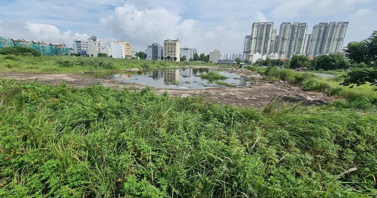 TP.HCM kiến nghị gỡ khó cho đất công- Ảnh 2.