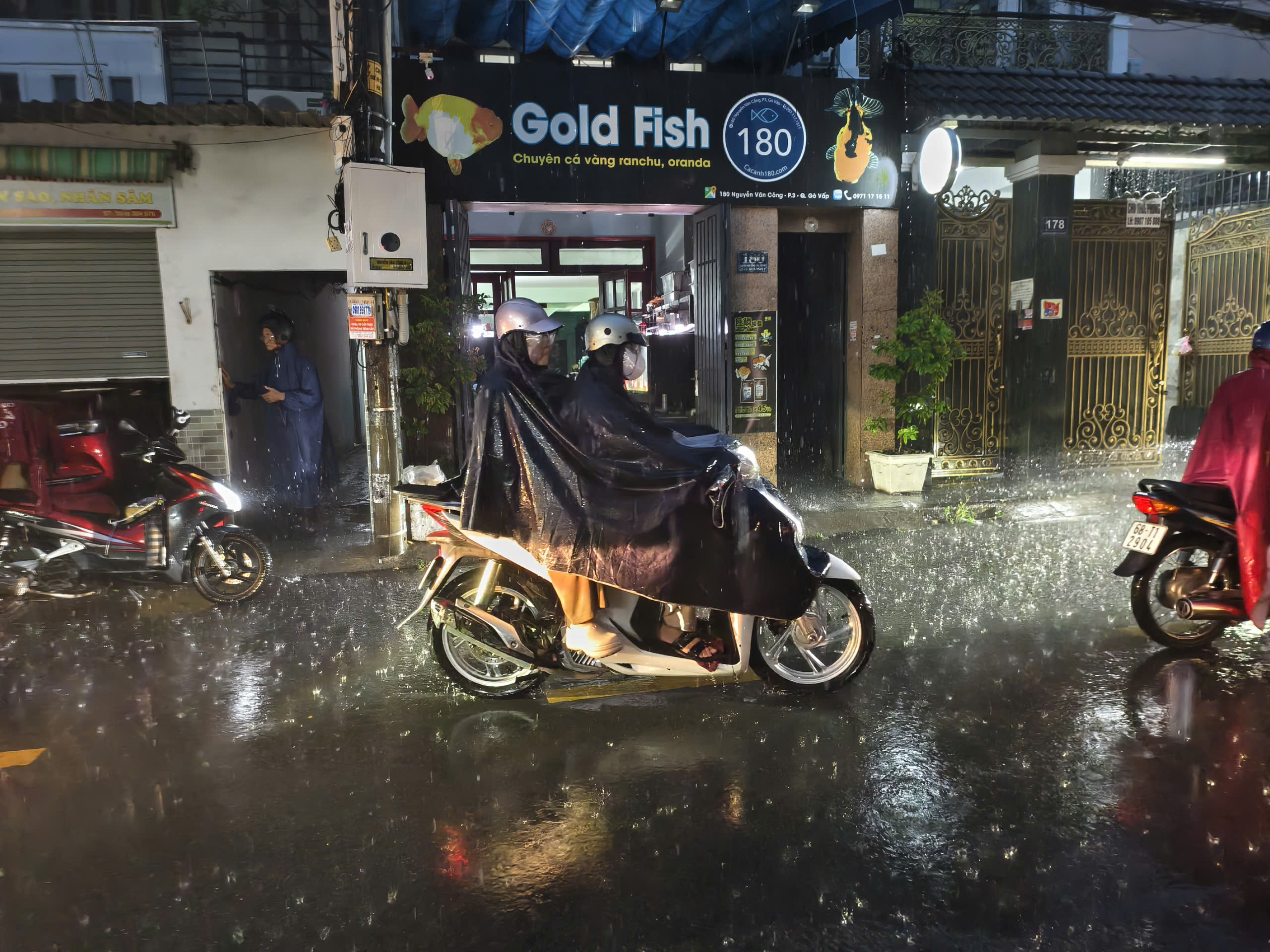 'Mưa vàng' giải nhiệt cho TP.HCM- Ảnh 5.