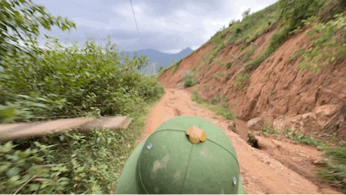 Mưa lũ ở Điện Bi&ecirc;n: &Aacute;m ảnh con đường duy nhất v&agrave;o x&atilde; T&igrave;a D&igrave;nh - Ảnh 6.