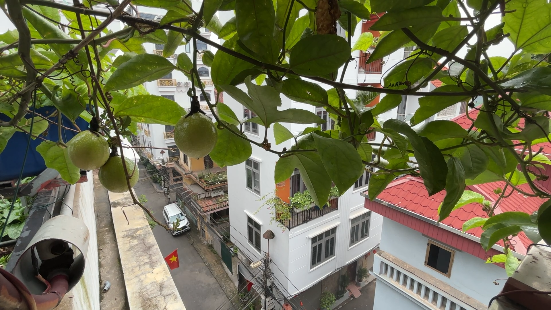 C&ugrave;ng sống xanh số 119: C&oacute; một hệ thống h&uacute;t thức ăn thừa,  - Ảnh 2.