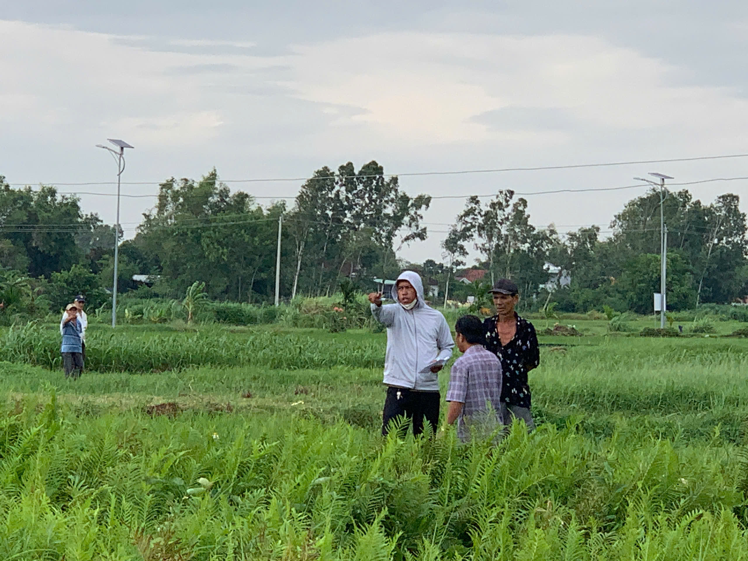 Hai đại dự án tạo đòn bẩy phát triển kinh tế - xã hội tỉnh Gia Lai- Ảnh 2. Hai đại dự án tạo đòn bẩy phát triển kinh tế - xã hội tỉnh Gia Lai- Ảnh 2.