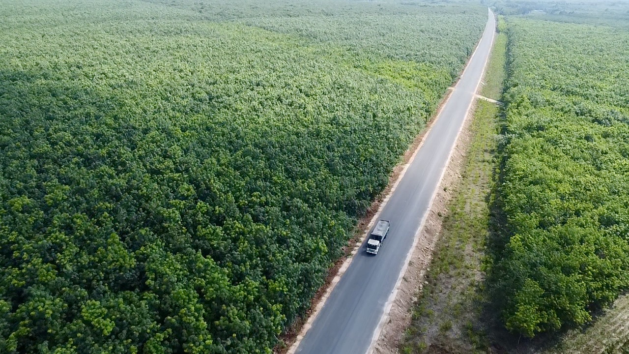 Xã duy nhất ở TP.HCM mang tên anh hùng liệt sĩ Trừ Văn Thố - Ảnh 4.