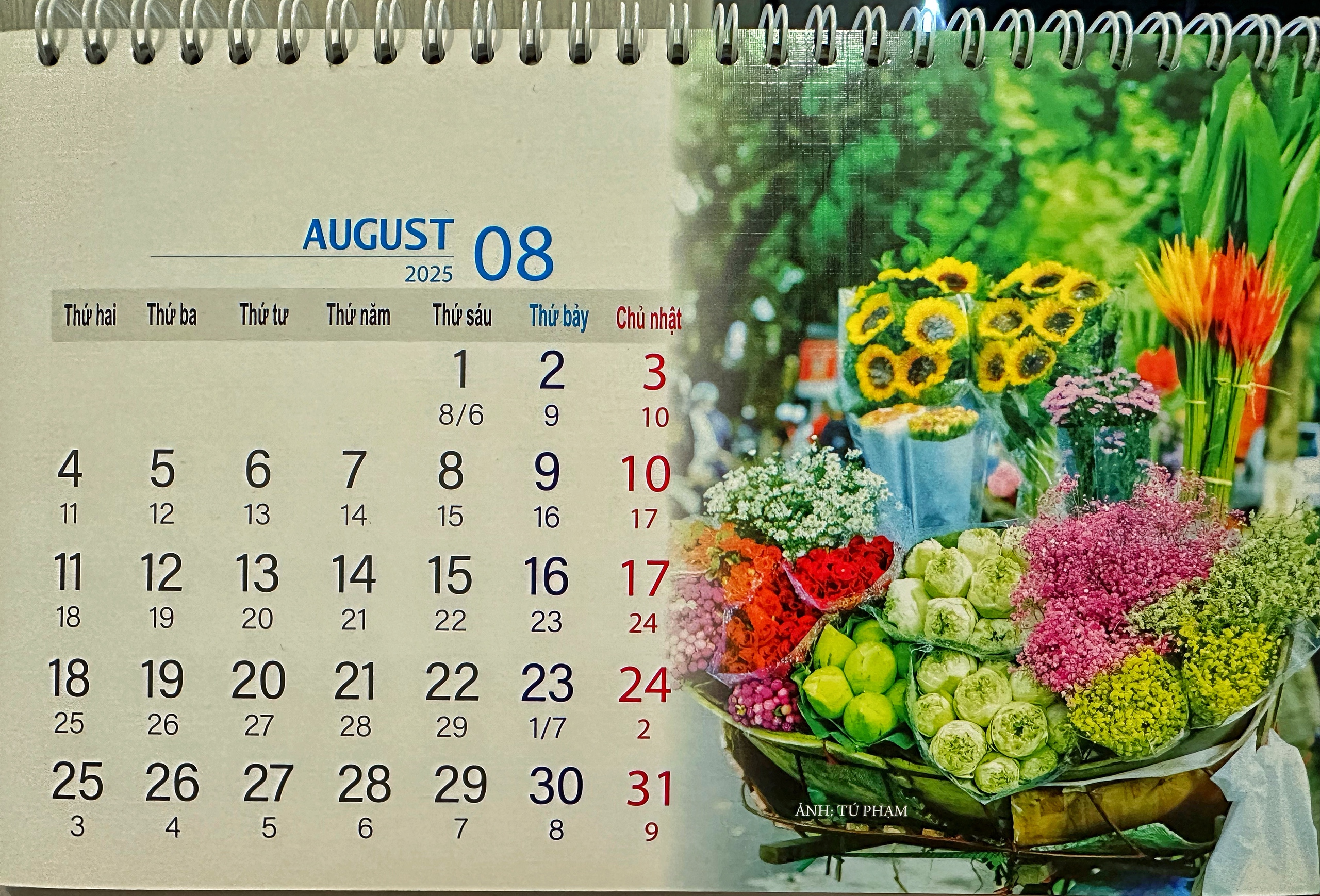 Người Việt vừa đón Lập thu 2025: Có khác gì với tiết Thu phân?- Ảnh 1. Người Việt vừa đón Lập thu 2025: Có khác gì với tiết Thu phân?- Ảnh 1.