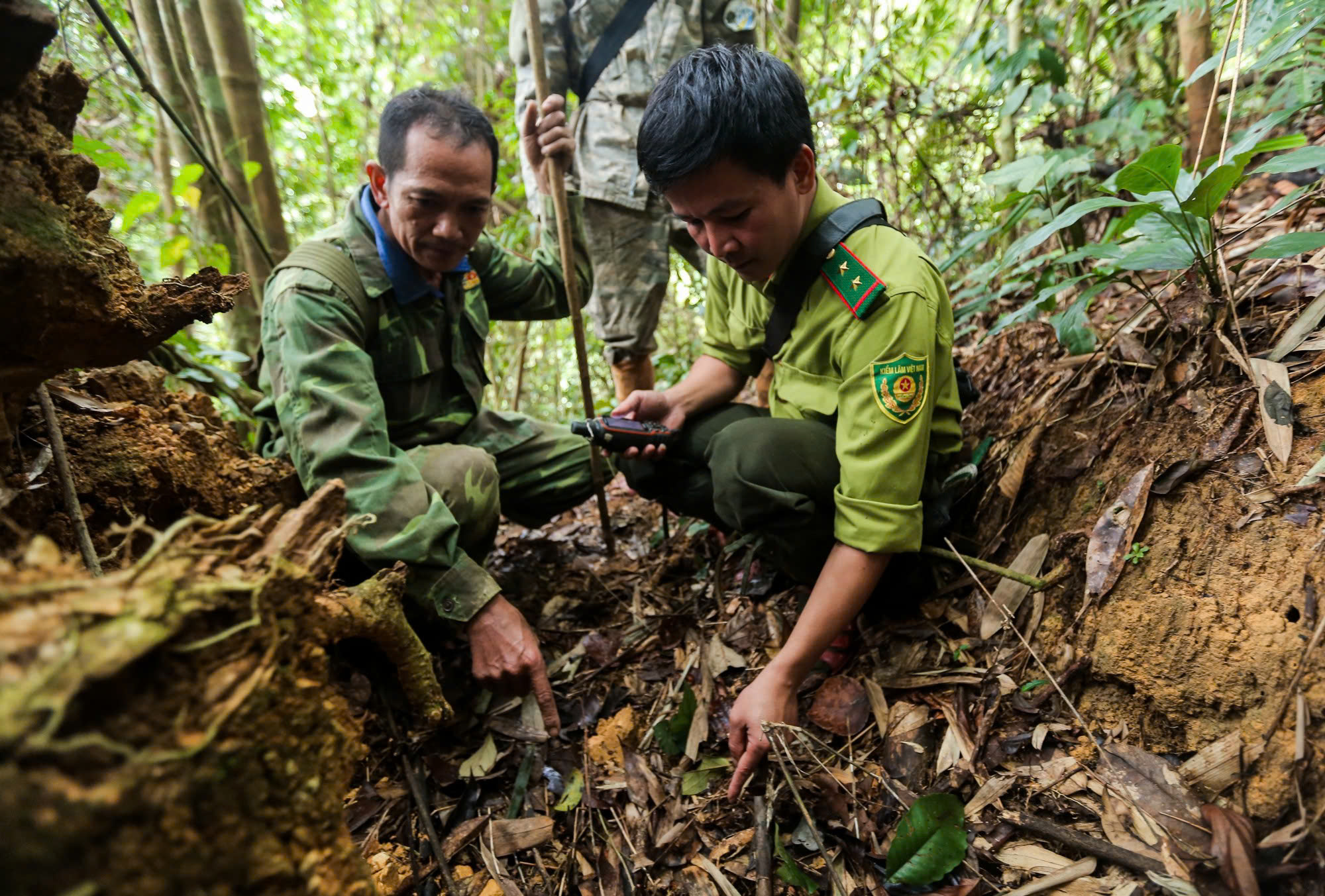 'Biệt đội bẫy ảnh' săn tìm dấu chân thú hoang- Ảnh 9. 'Biệt đội bẫy ảnh' săn tìm dấu chân thú hoang- Ảnh 9.