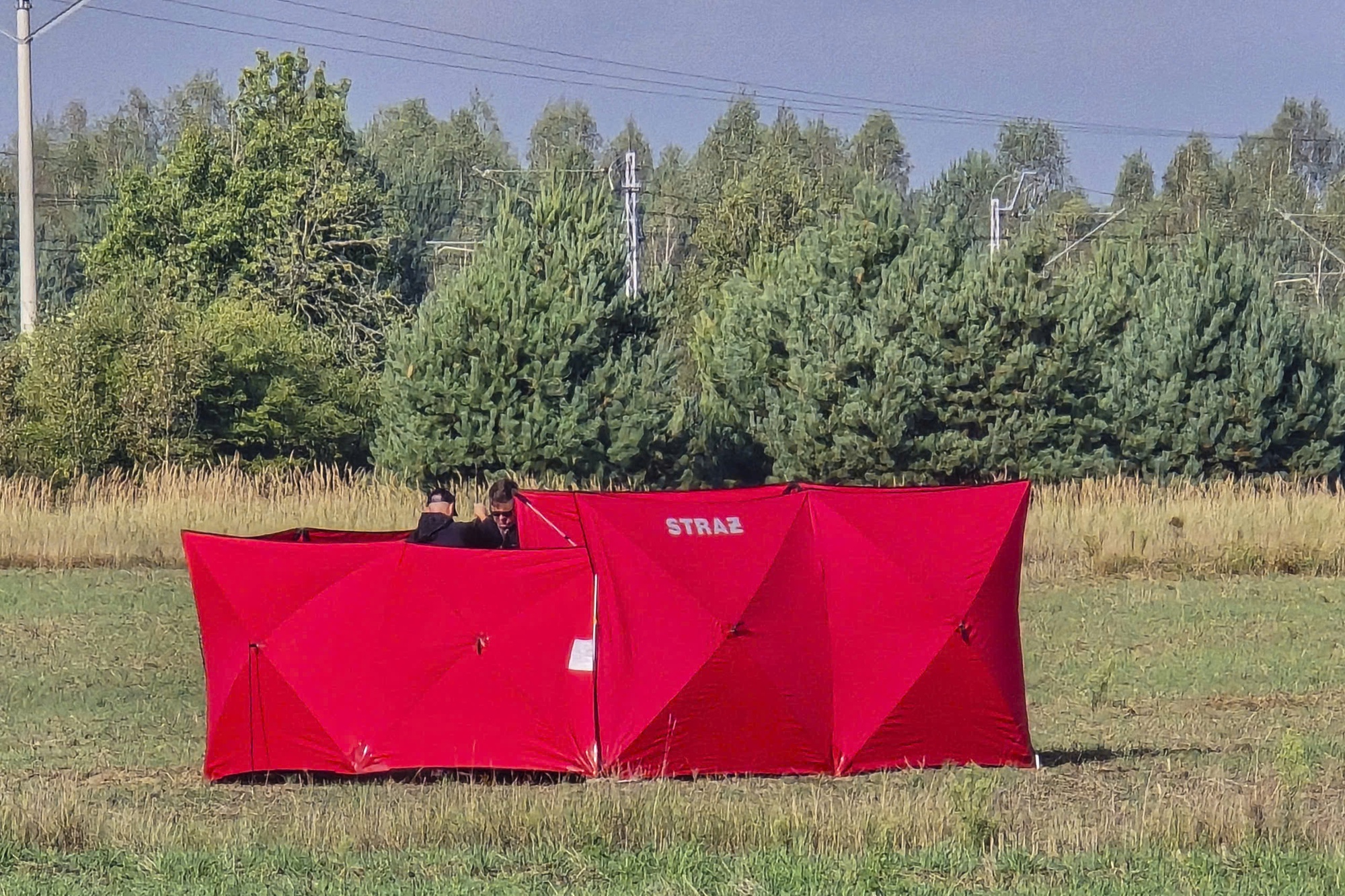 - Ảnh 1.